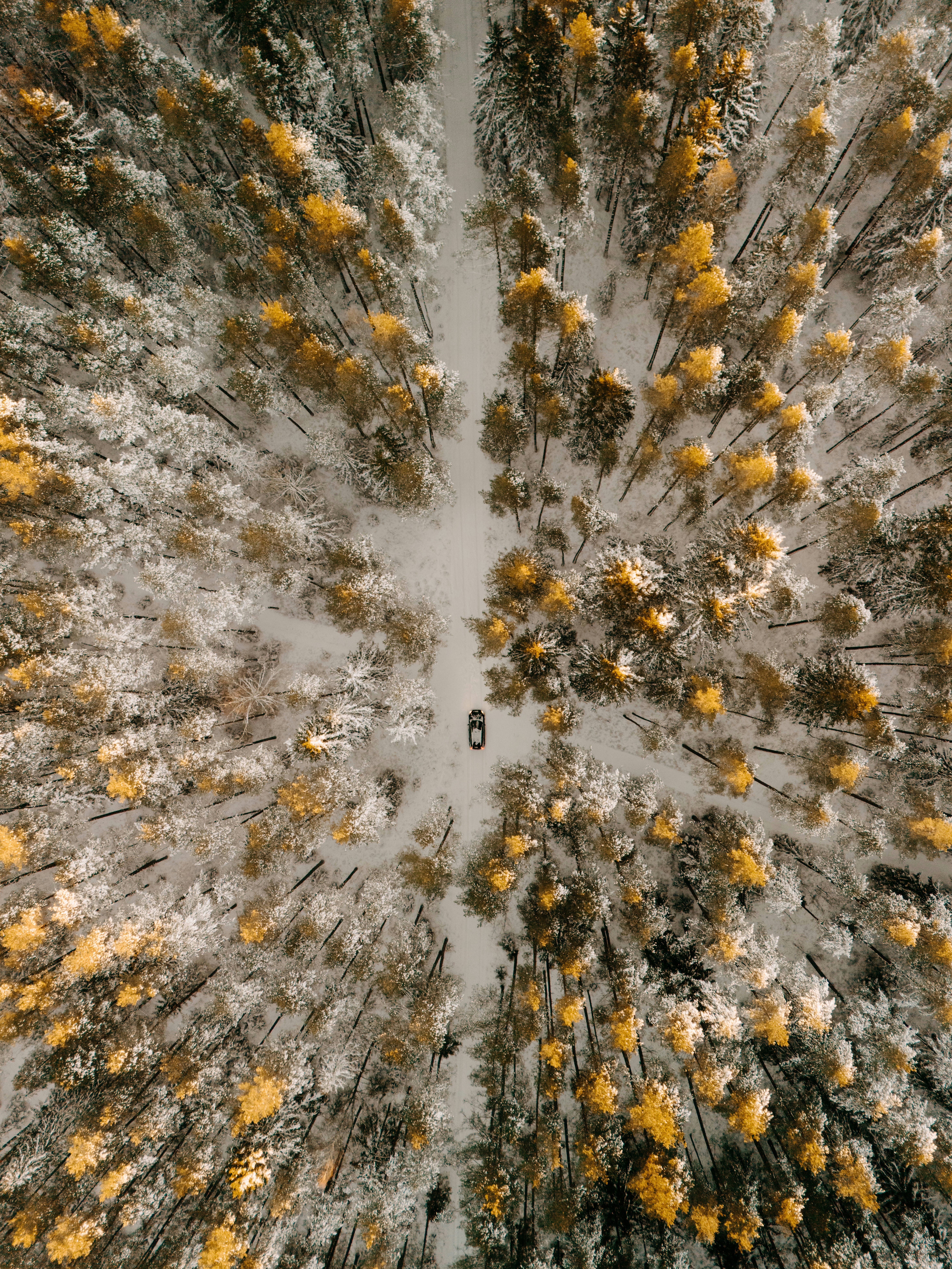 Aerial view of car driving through snowy autumn forest