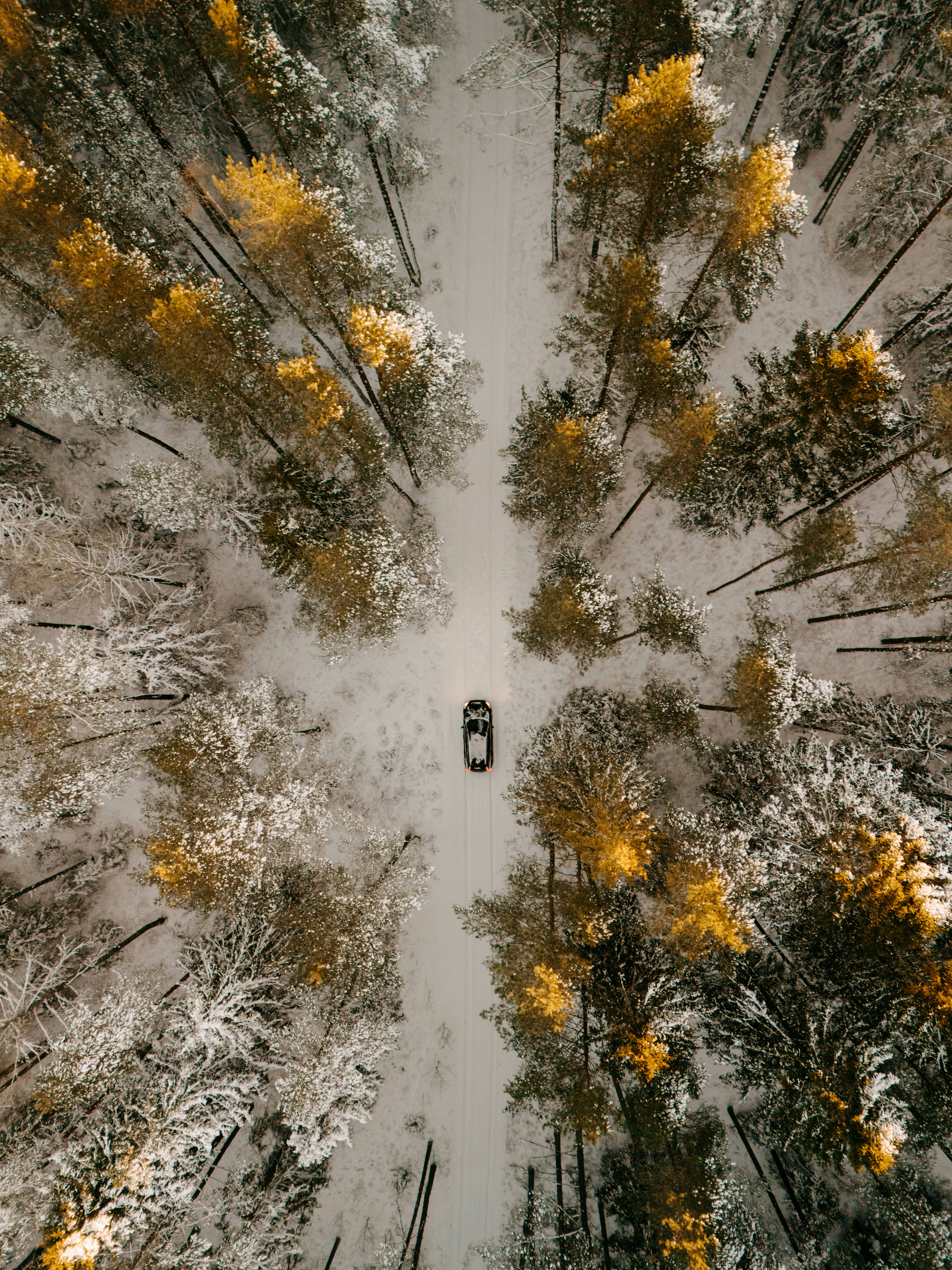 Photo by vilkuaivars