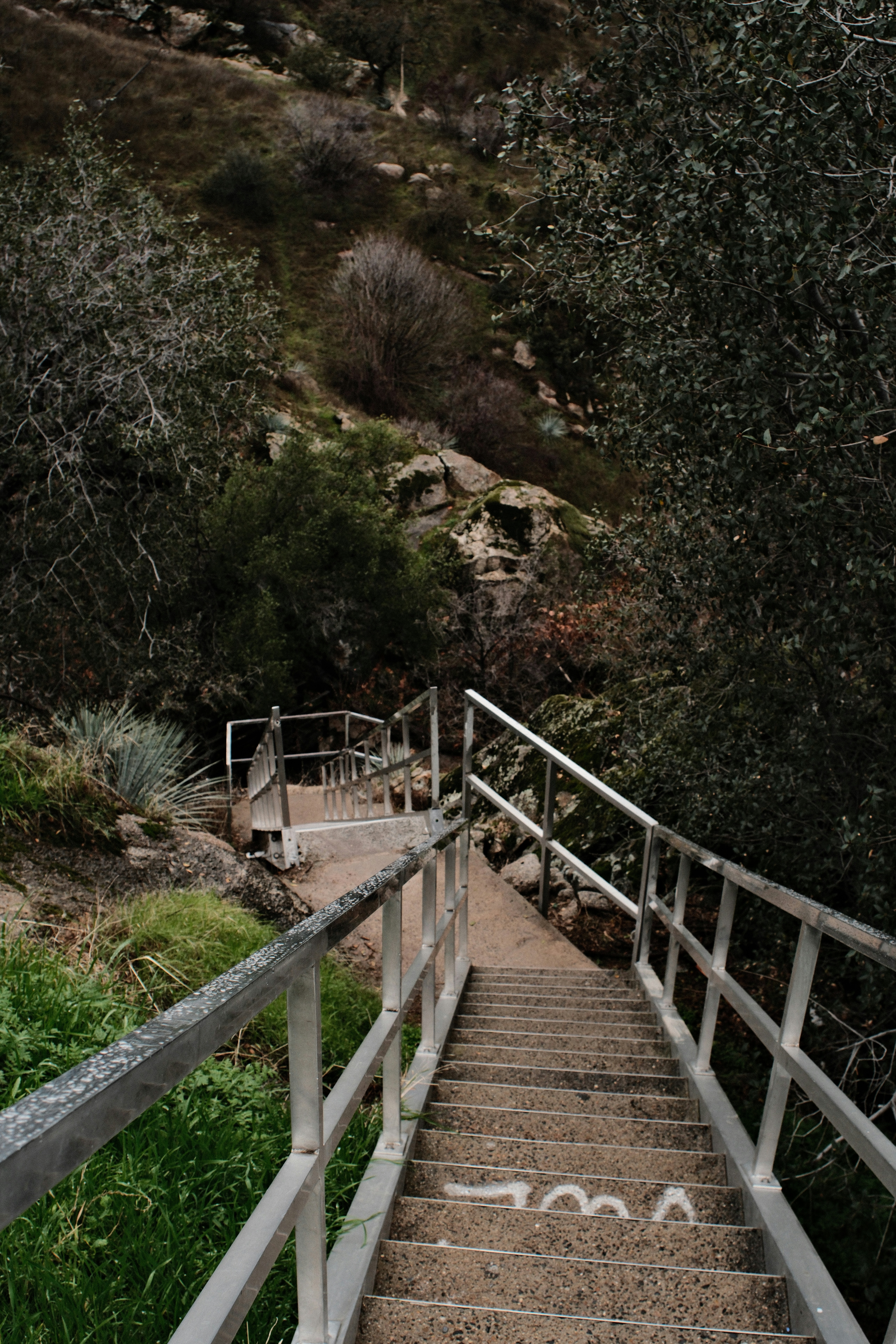 Concrete stairs ascend a wooded hillside with metal railings.