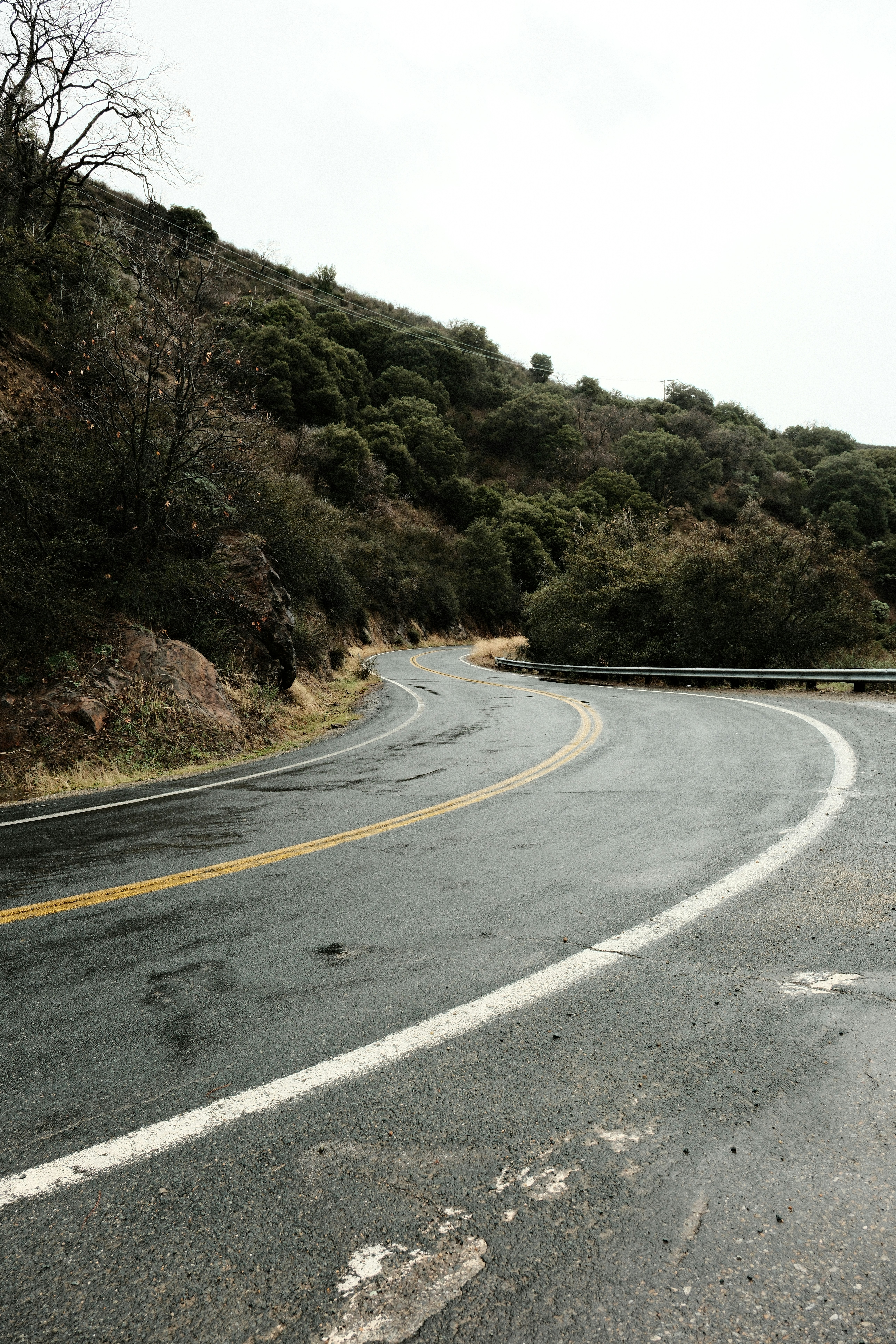 A winding road through a forested hillside
