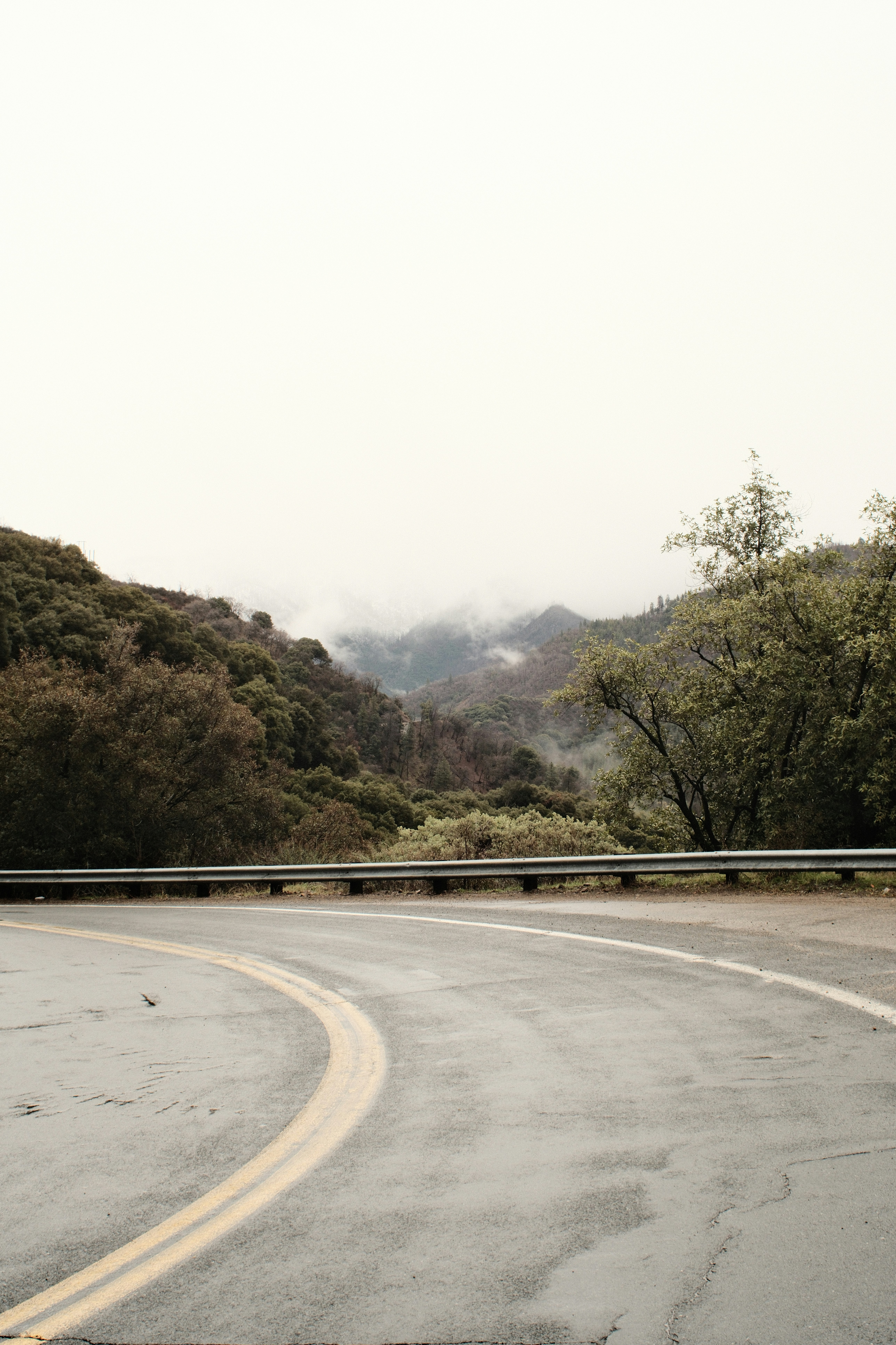 Winding wet road through misty mountains and trees
