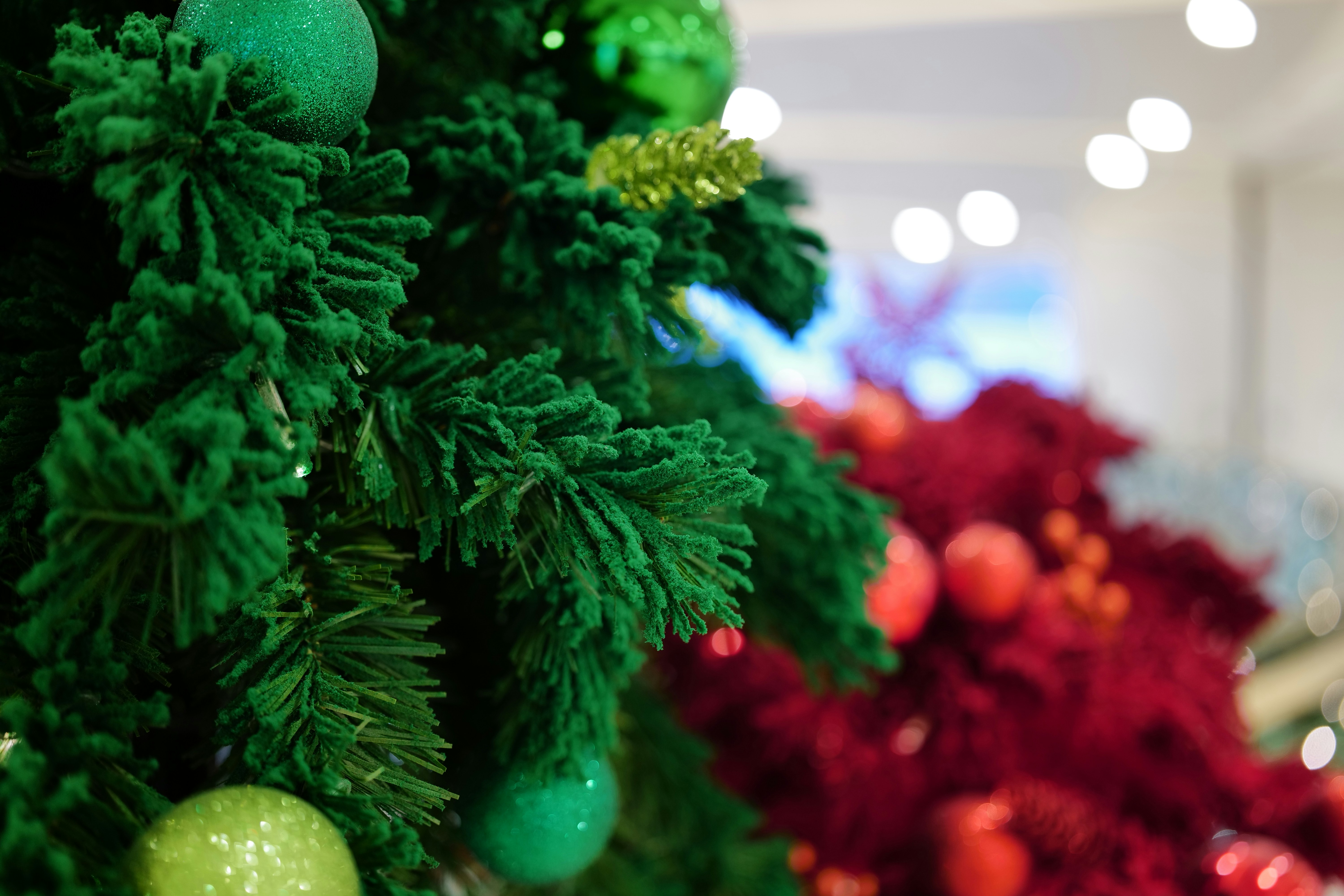 Nahaufnahme von grünen und roten Weihnachtsbäumen mit Ornamenten.