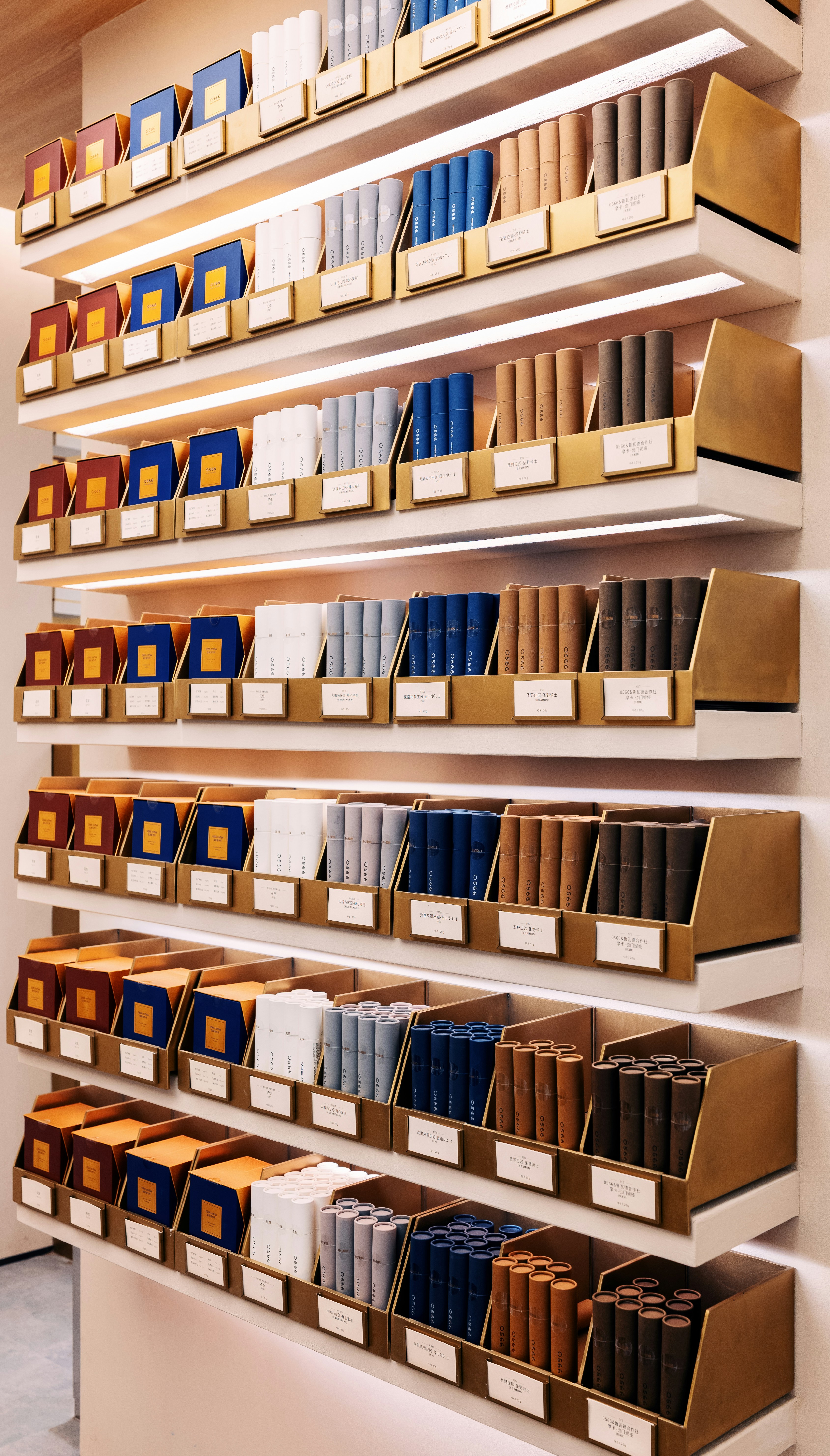 Regale voller ordentlich arrangierter Bücher und Kisten.