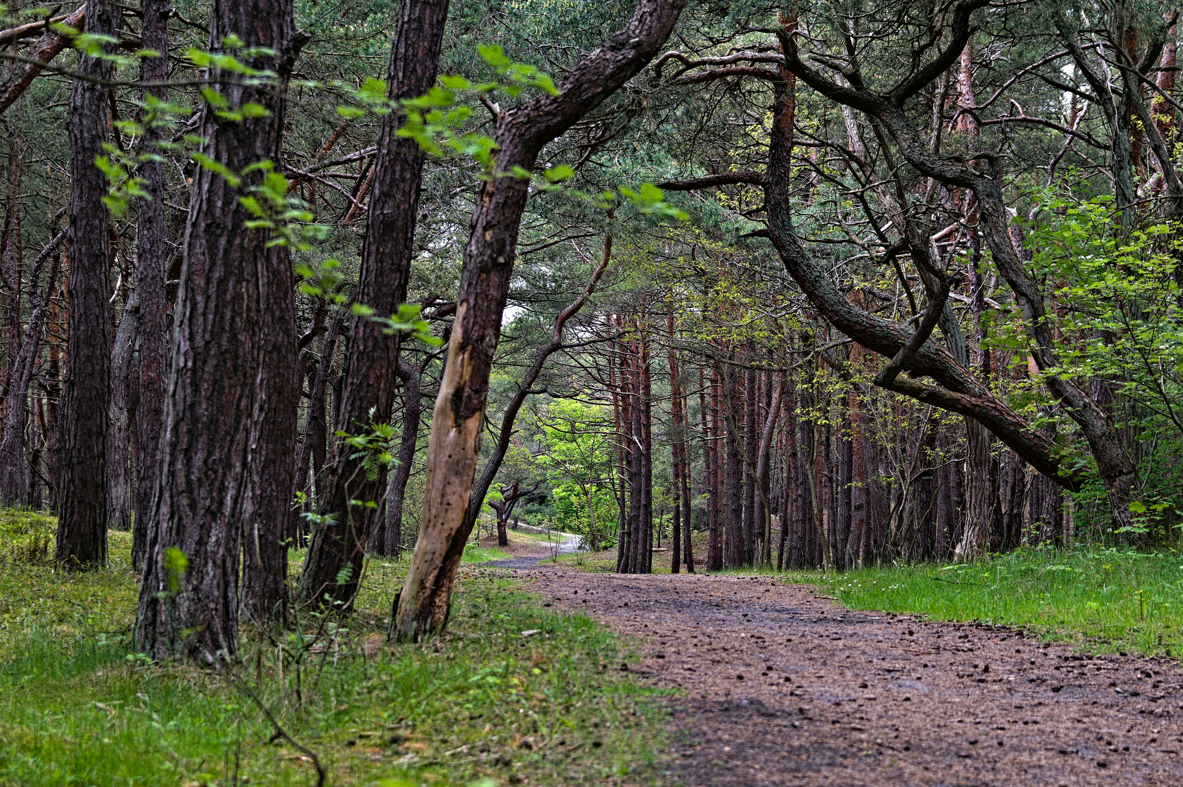 Quiet Campsites: Escape the Crowds & Find Peace