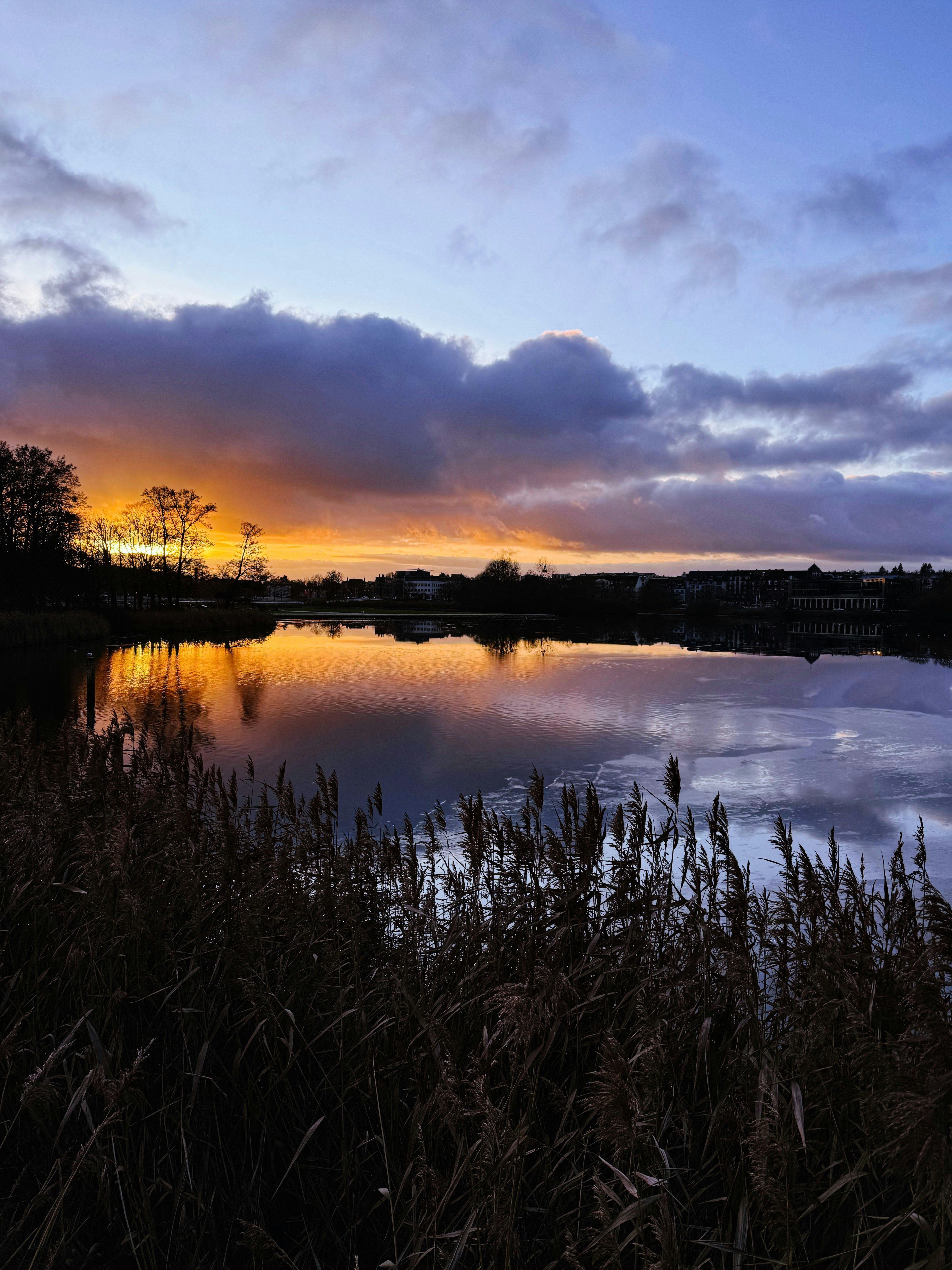 Evening Glow