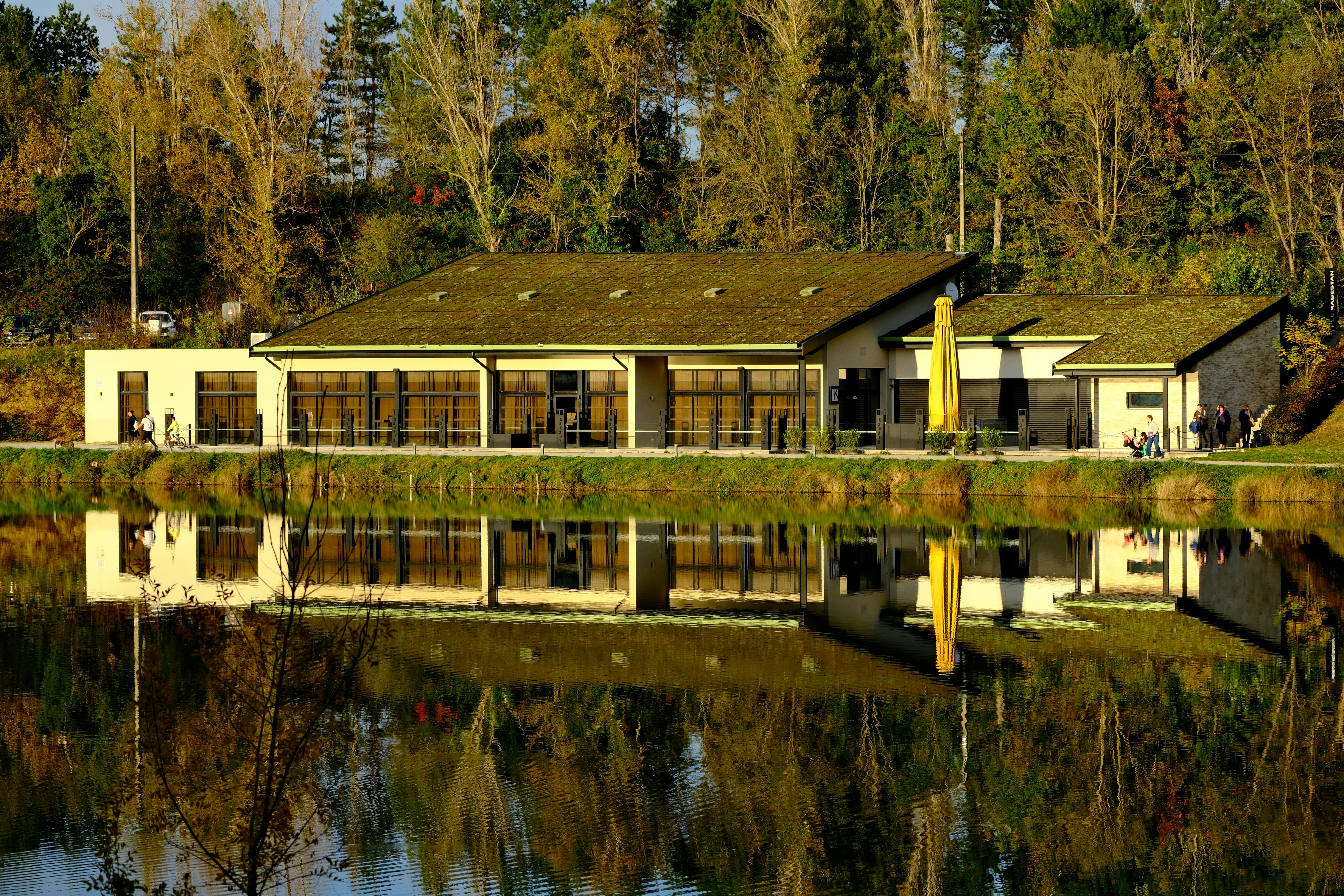 Why Freedom Property Management?