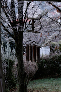 Wind chimes hang from a frosted tree branch
