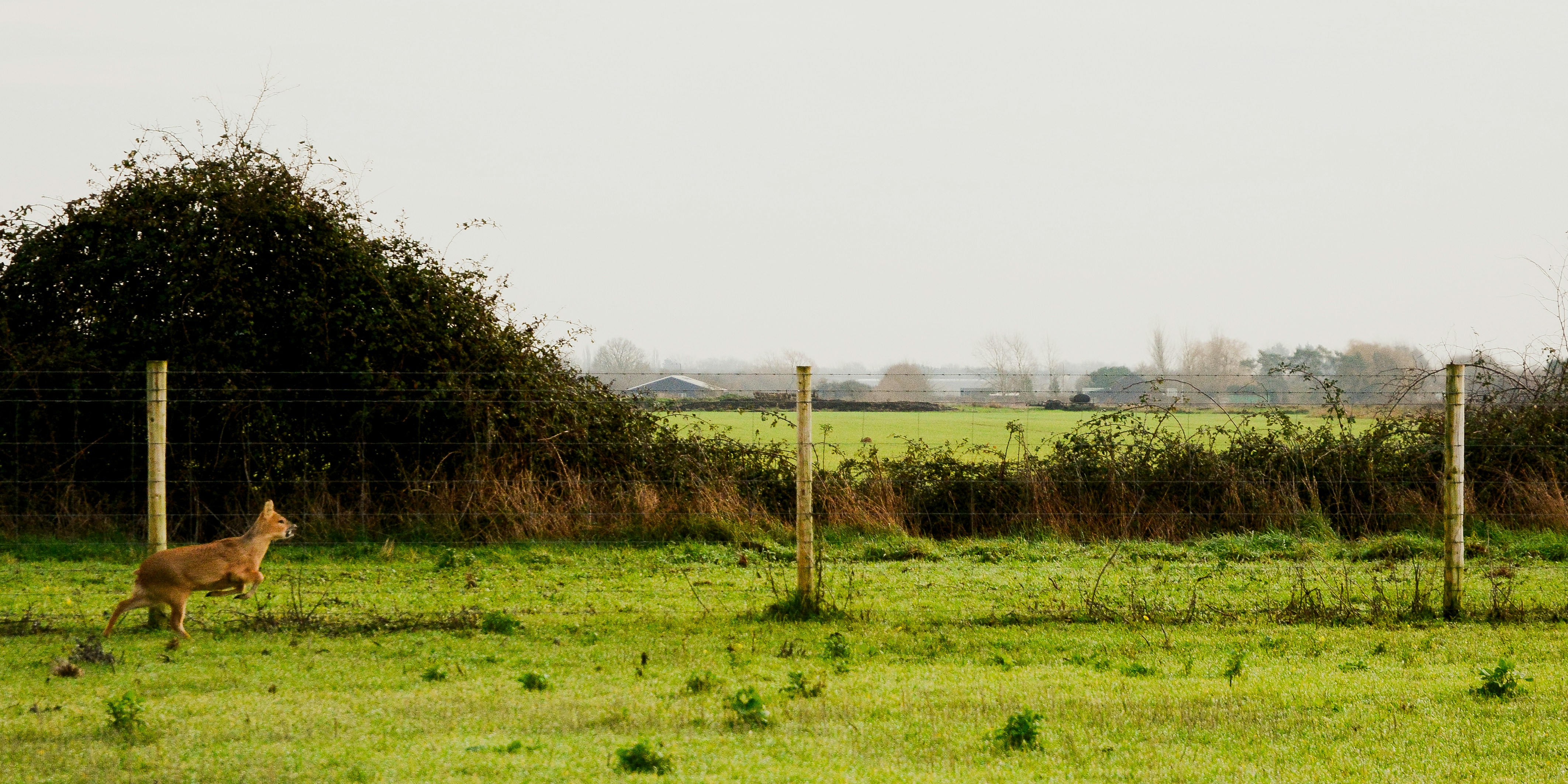 Photo by theoroberts