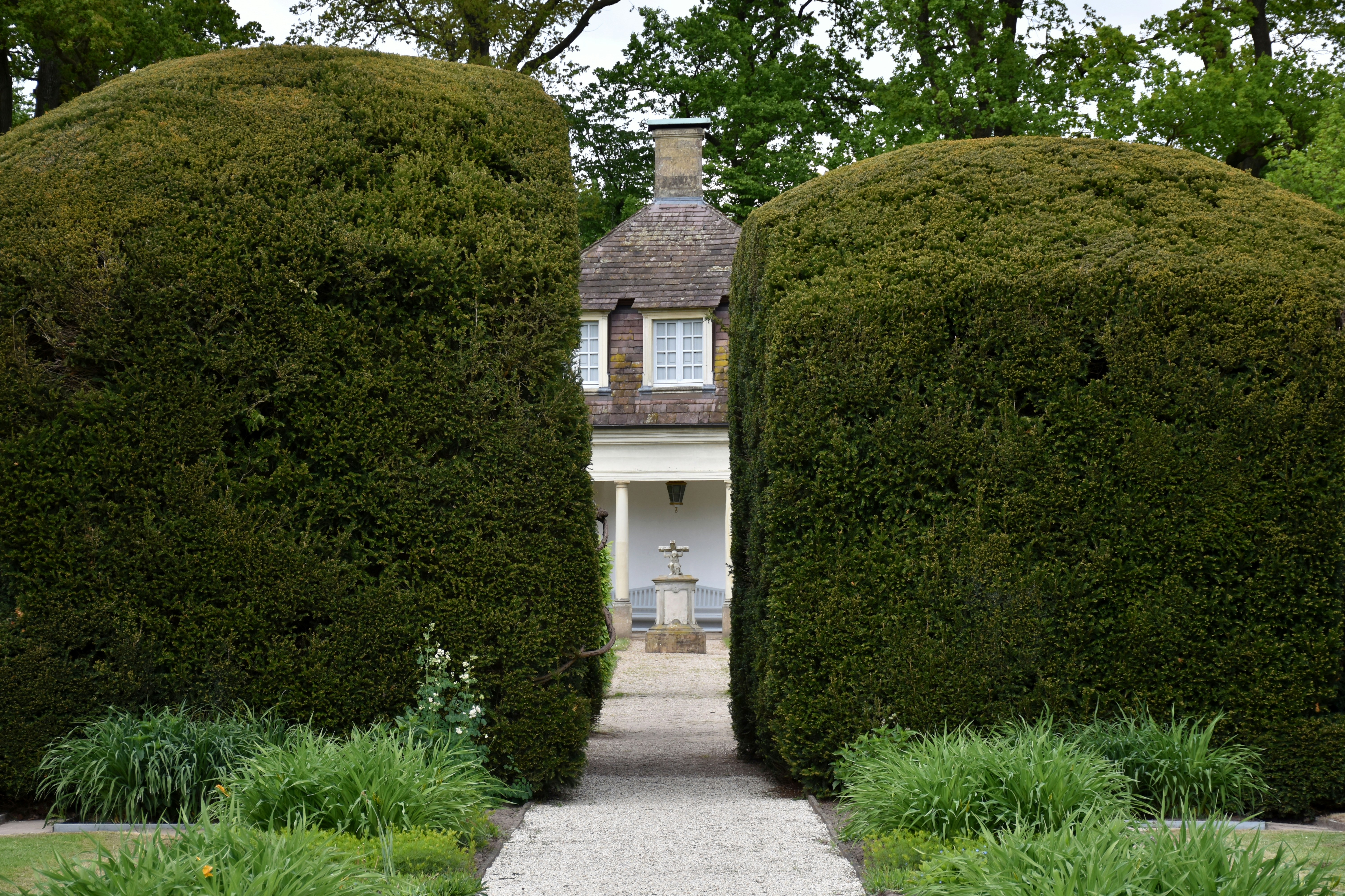 Path leading to a house between two large hedges.