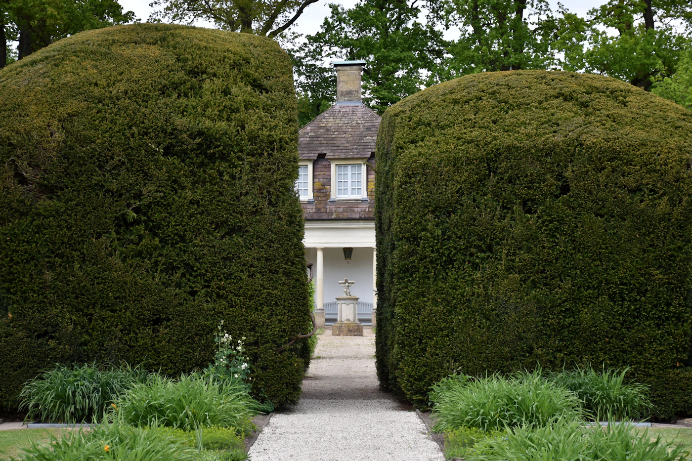 Mature clipped hedges bordering a private garden near Knokke