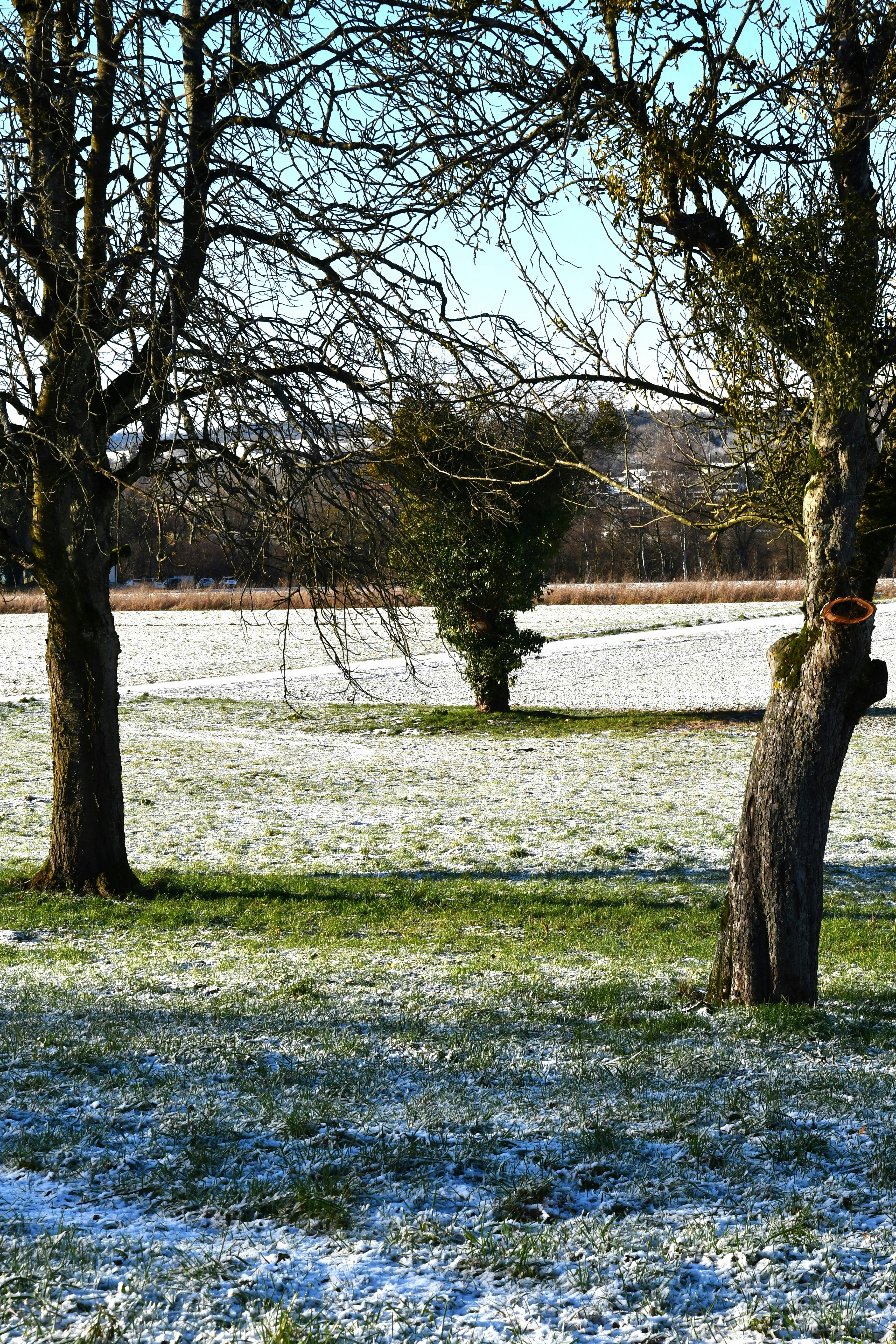 Photo by danielelarosa