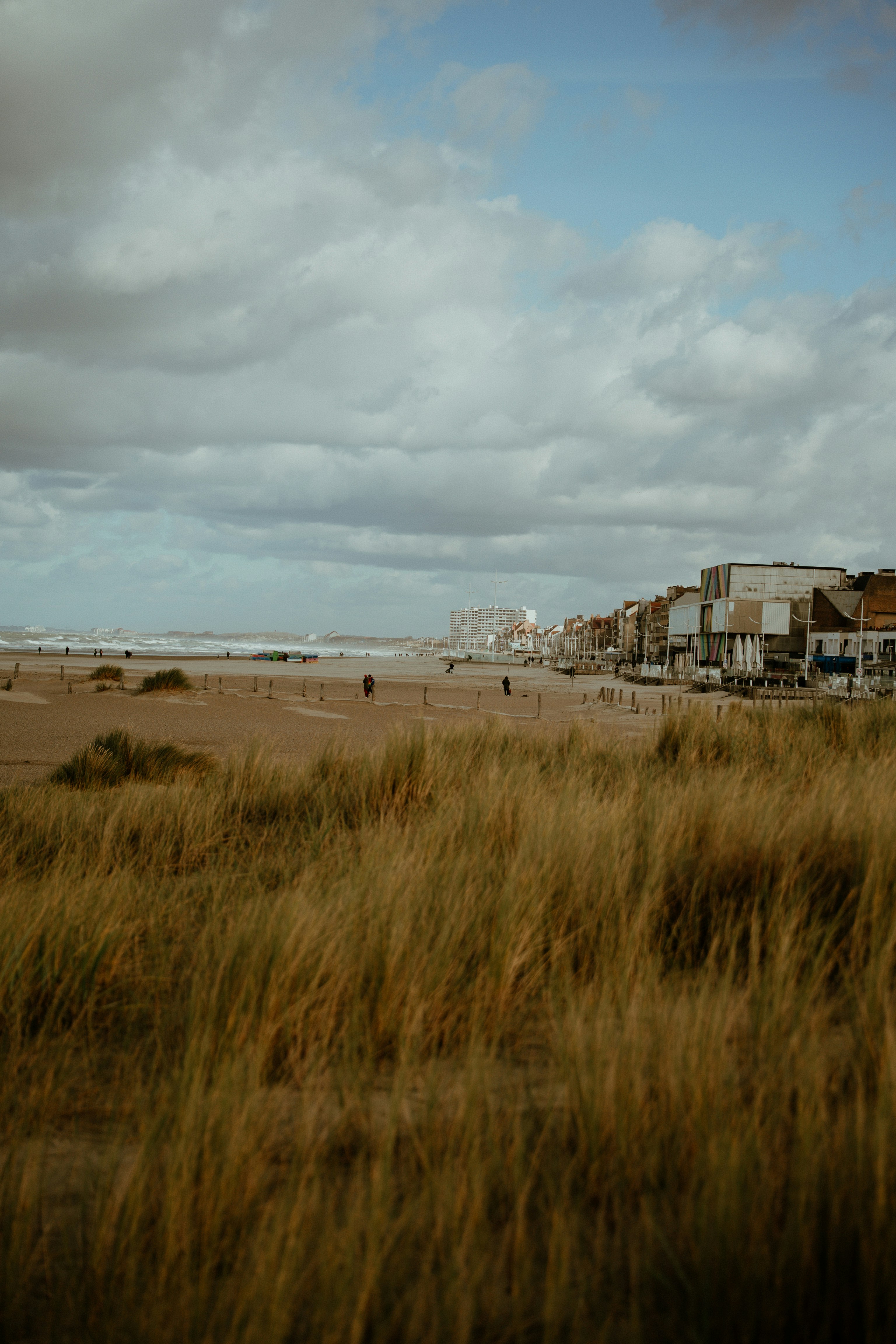 Praia com grama em primeiro plano e prédios ao longe.