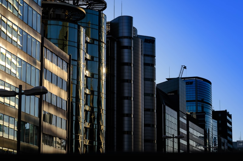 Job Placement in Japan