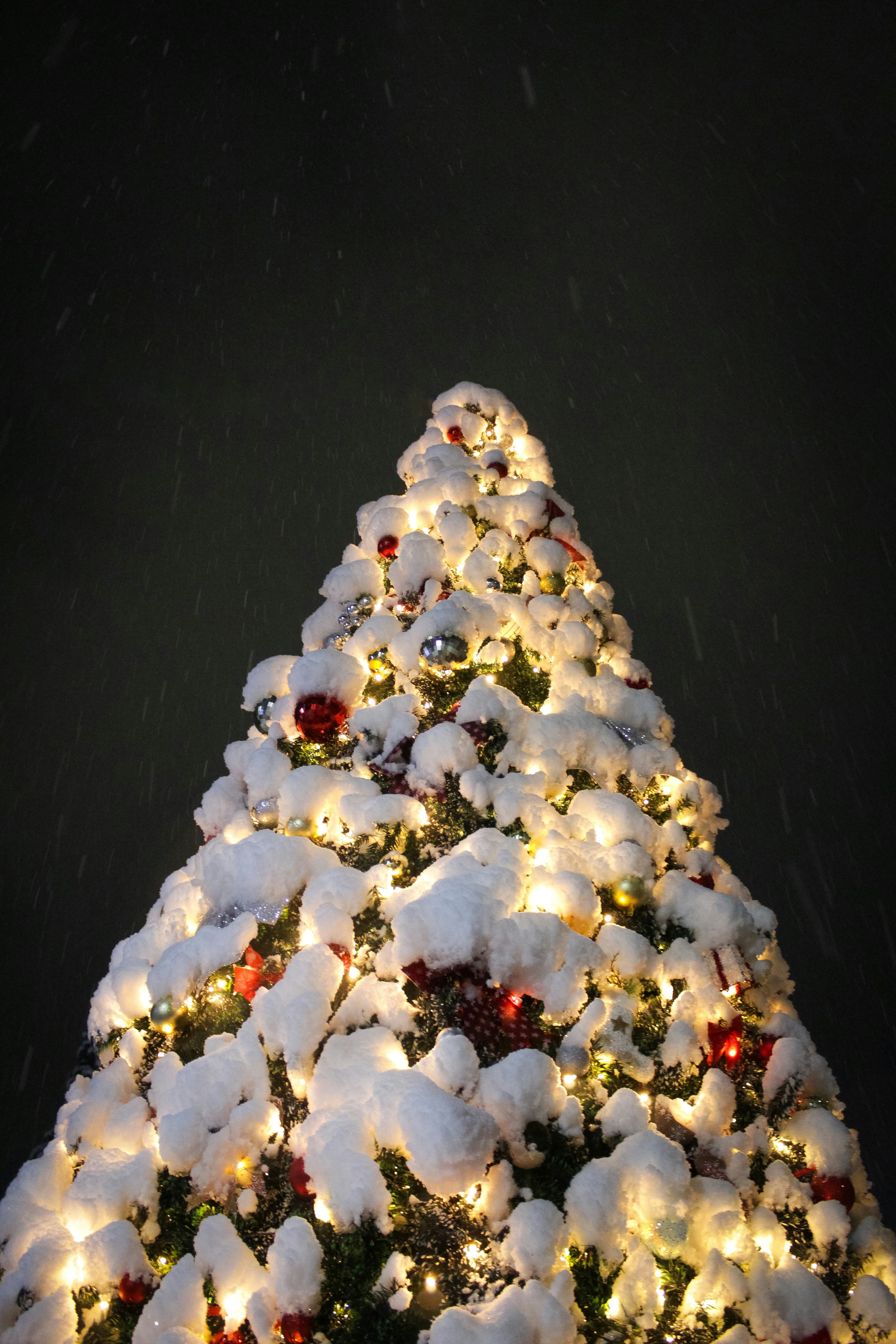 Idee Per L'Albero Di Natale 2021: Il Divertente Negozio Di Natale, image size:3000x4500