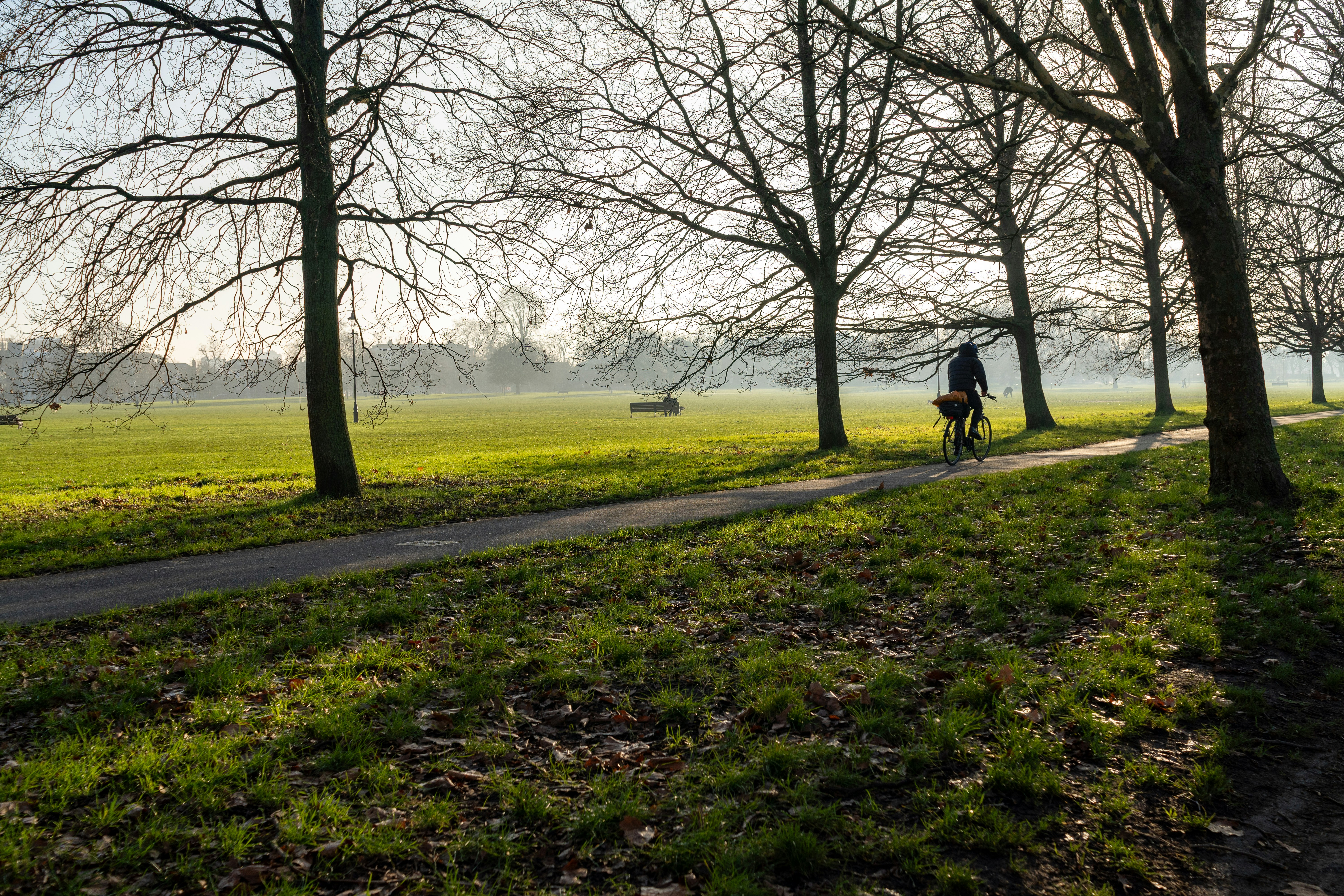 Photo by mirceadrian