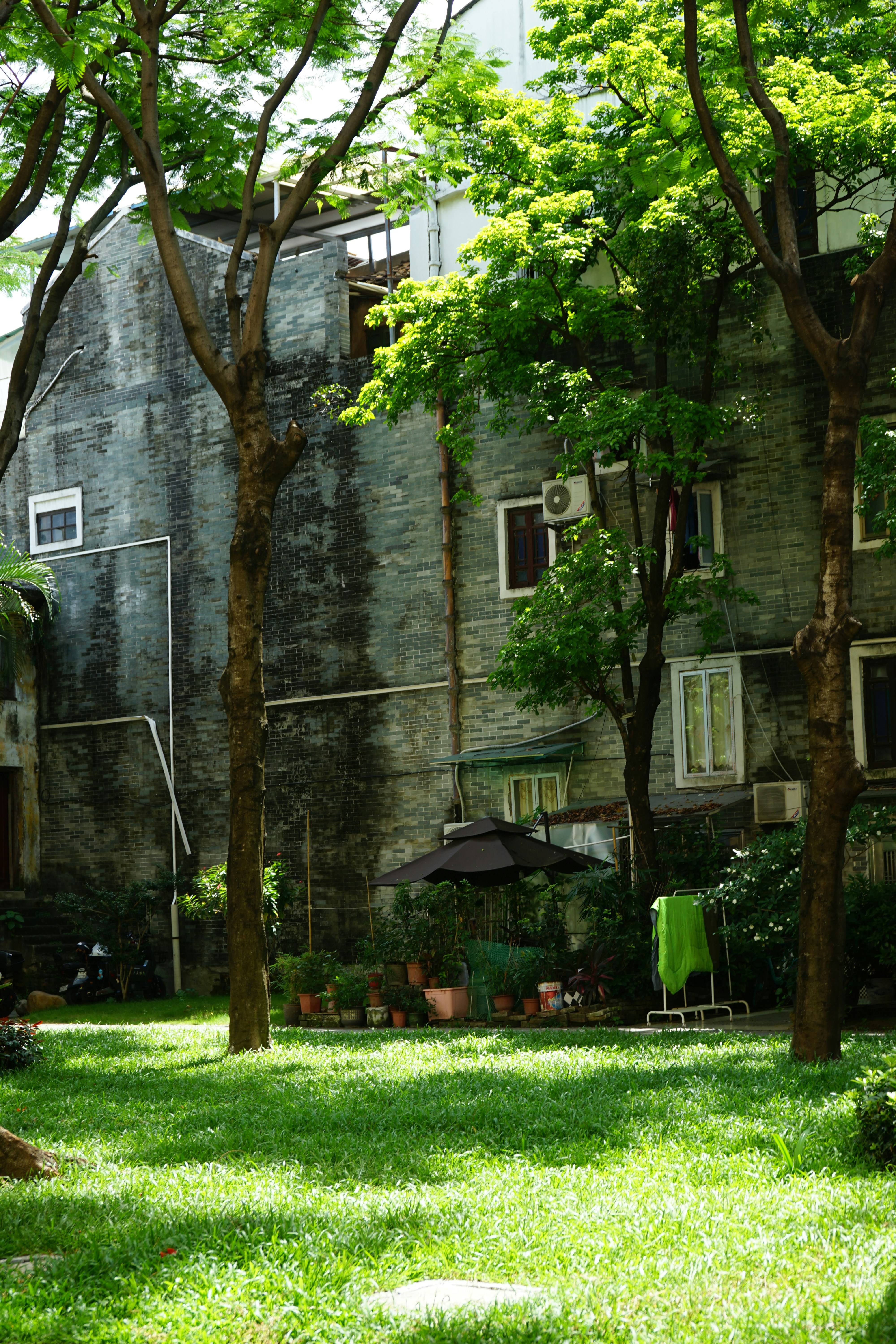 Courtyard with lush green grass and trees.