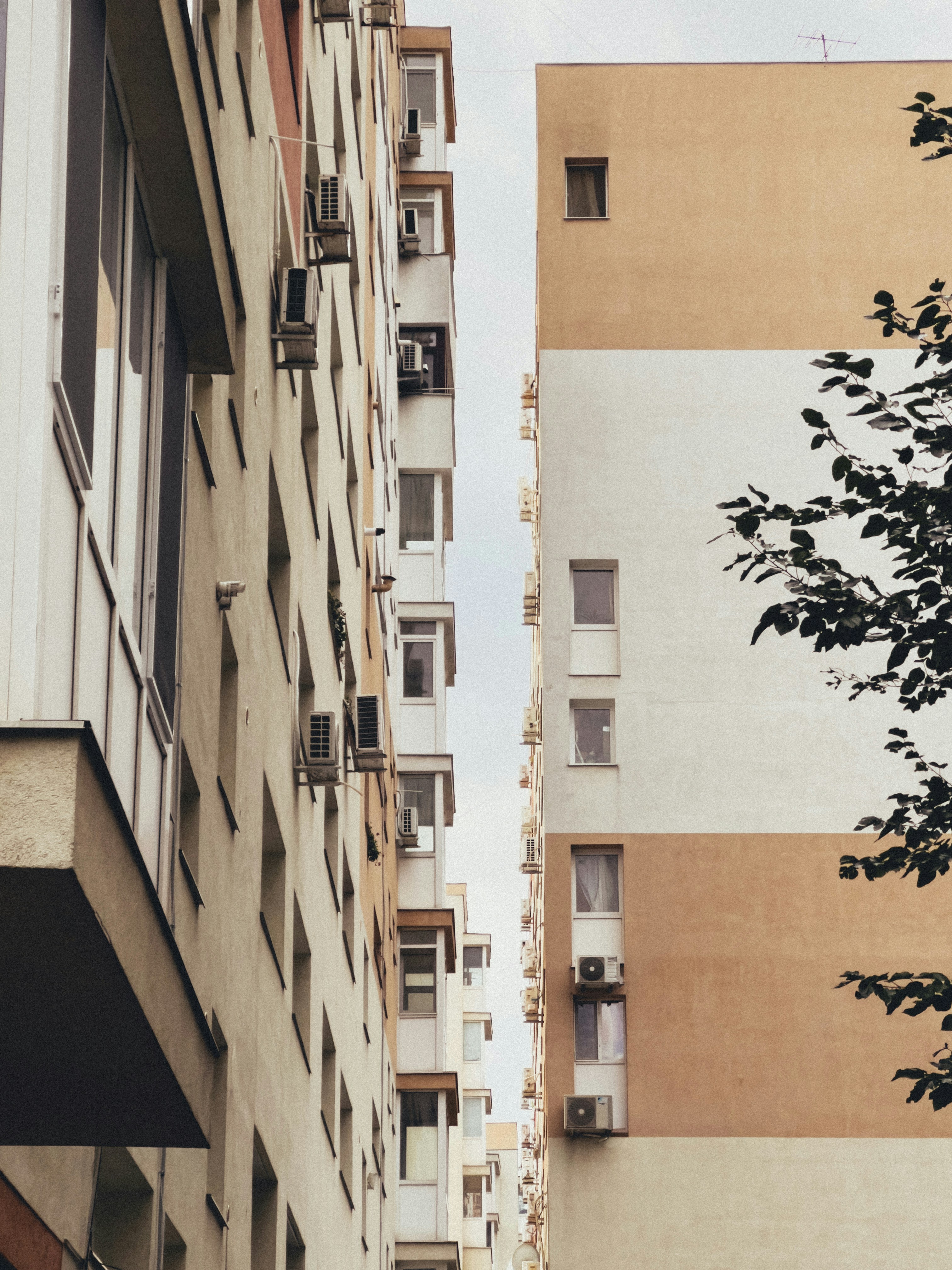 Photo by timiciucandrei