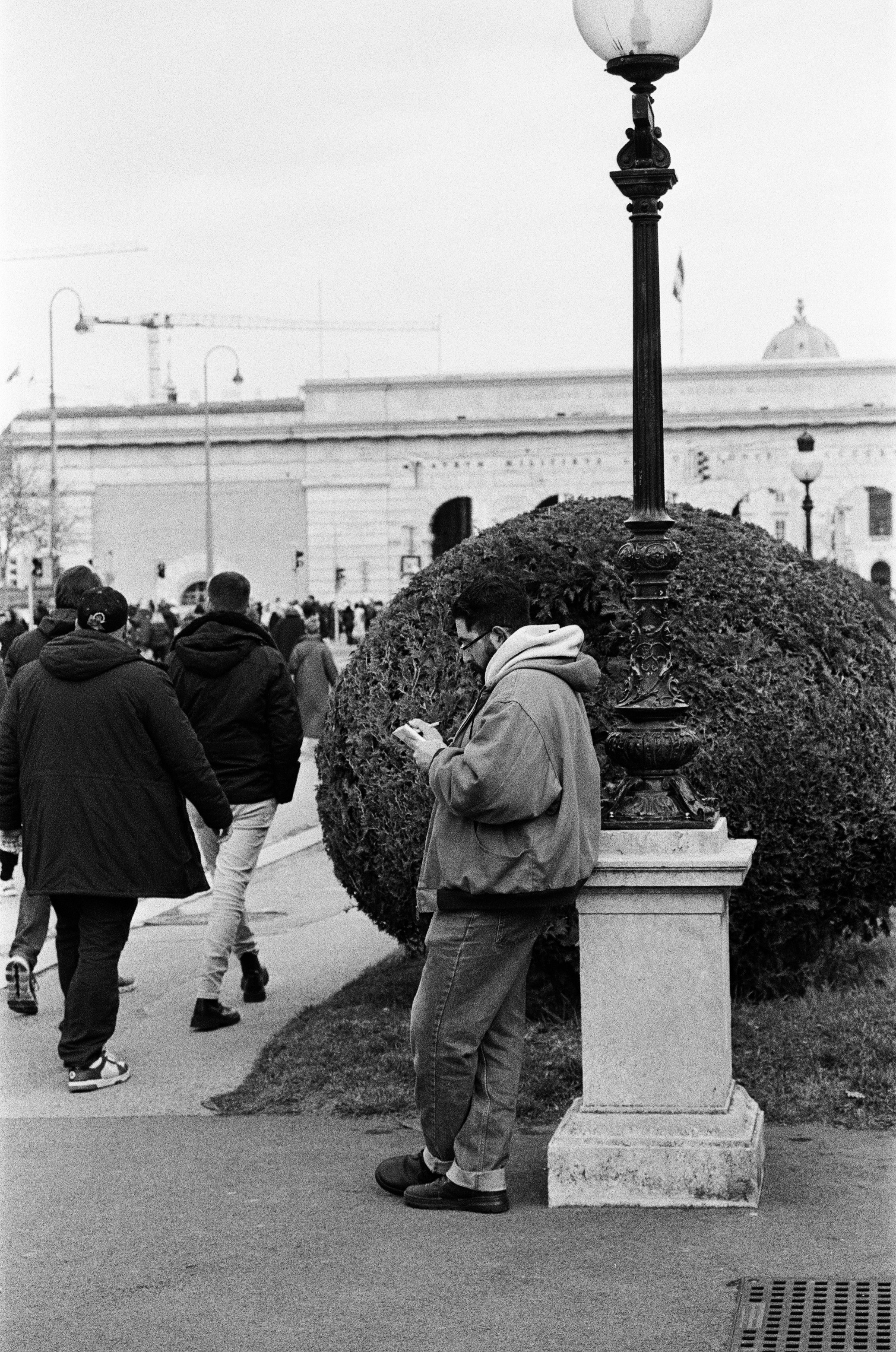Man looking at phone near lamppost and bush.