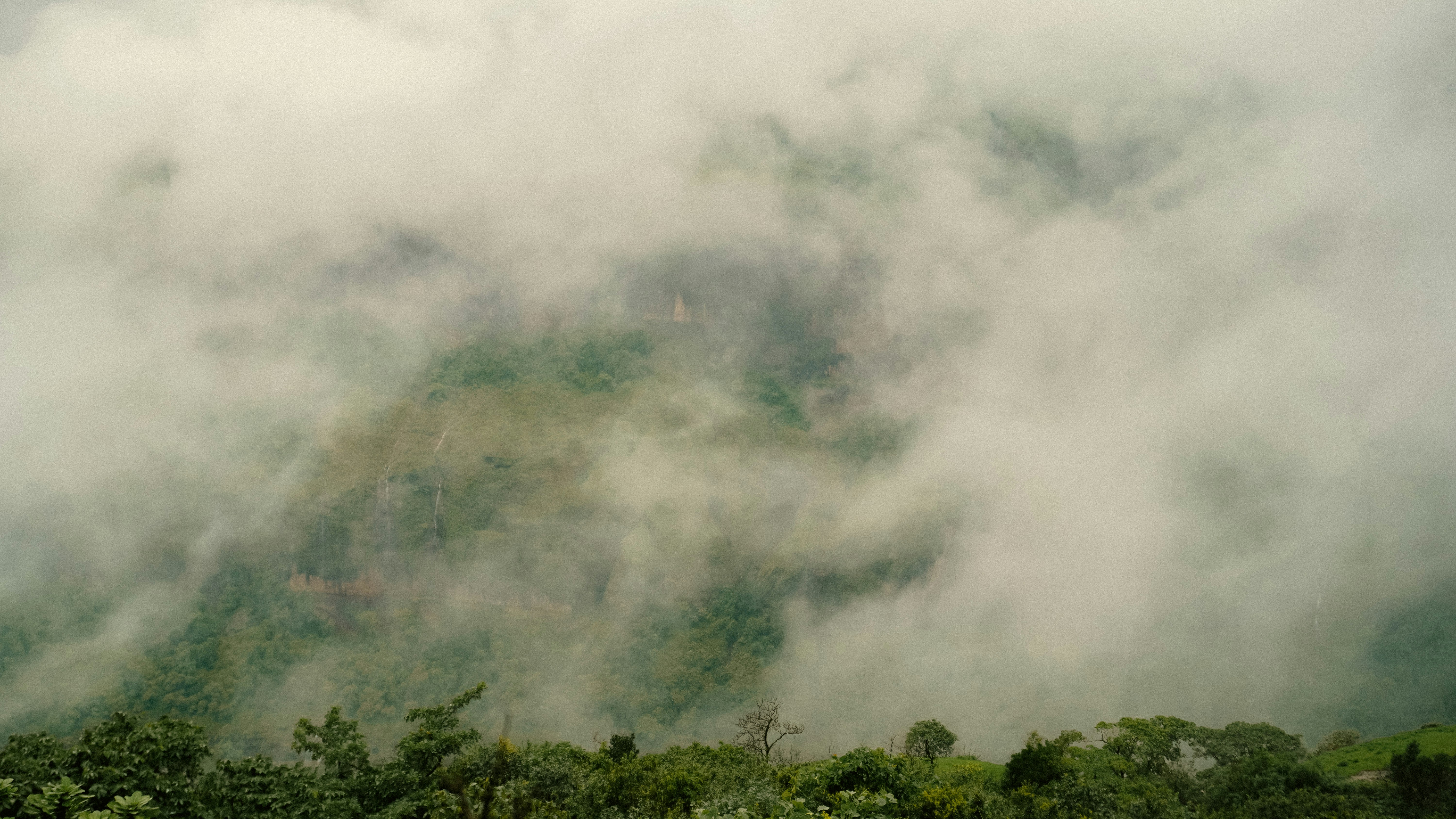 Photo by blibityblabity