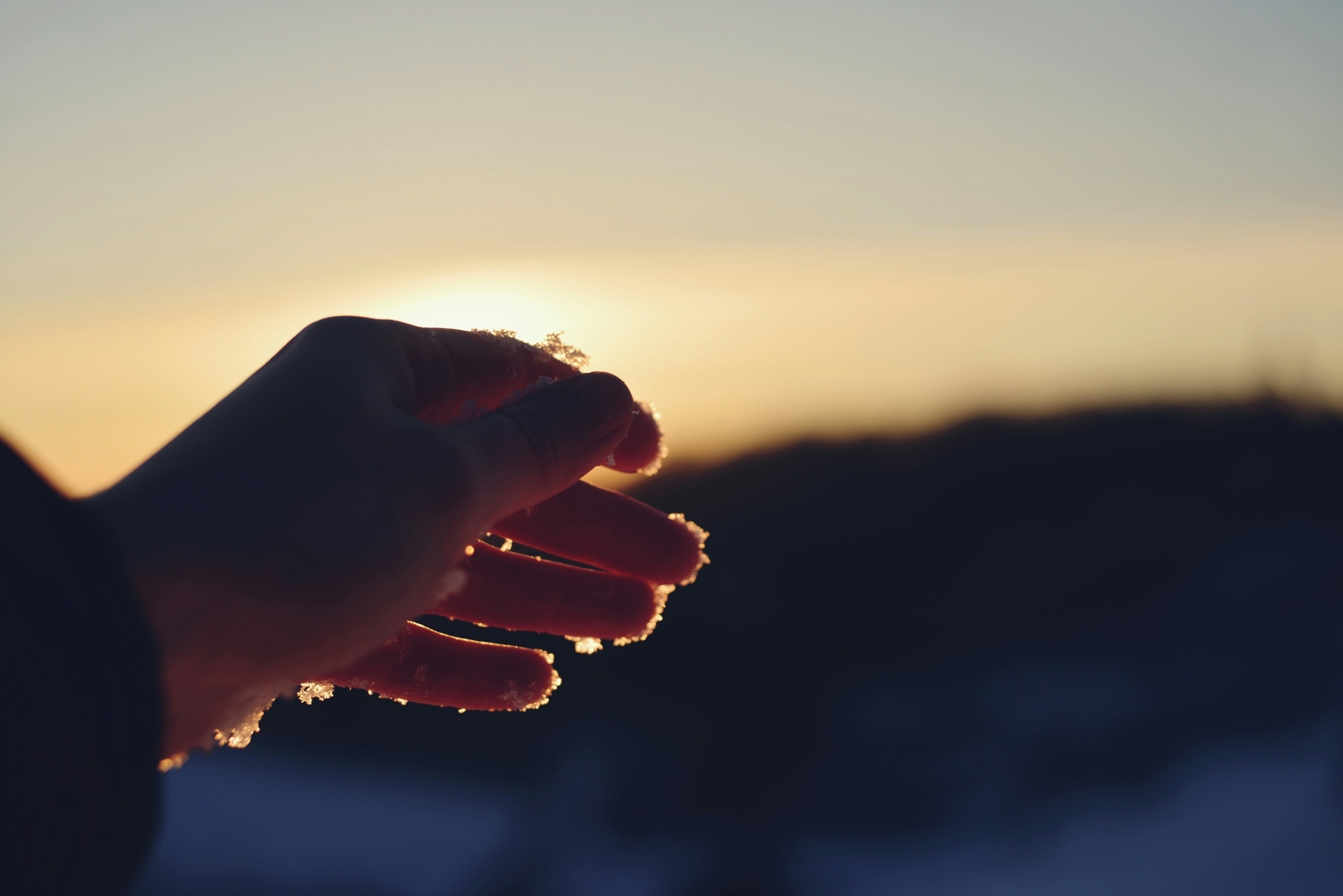 Photo by cherstve_pechivo