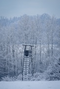 A wooden hunting blind stands in a snowy forest.