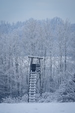 A wooden hunting blind stands in a snowy forest.