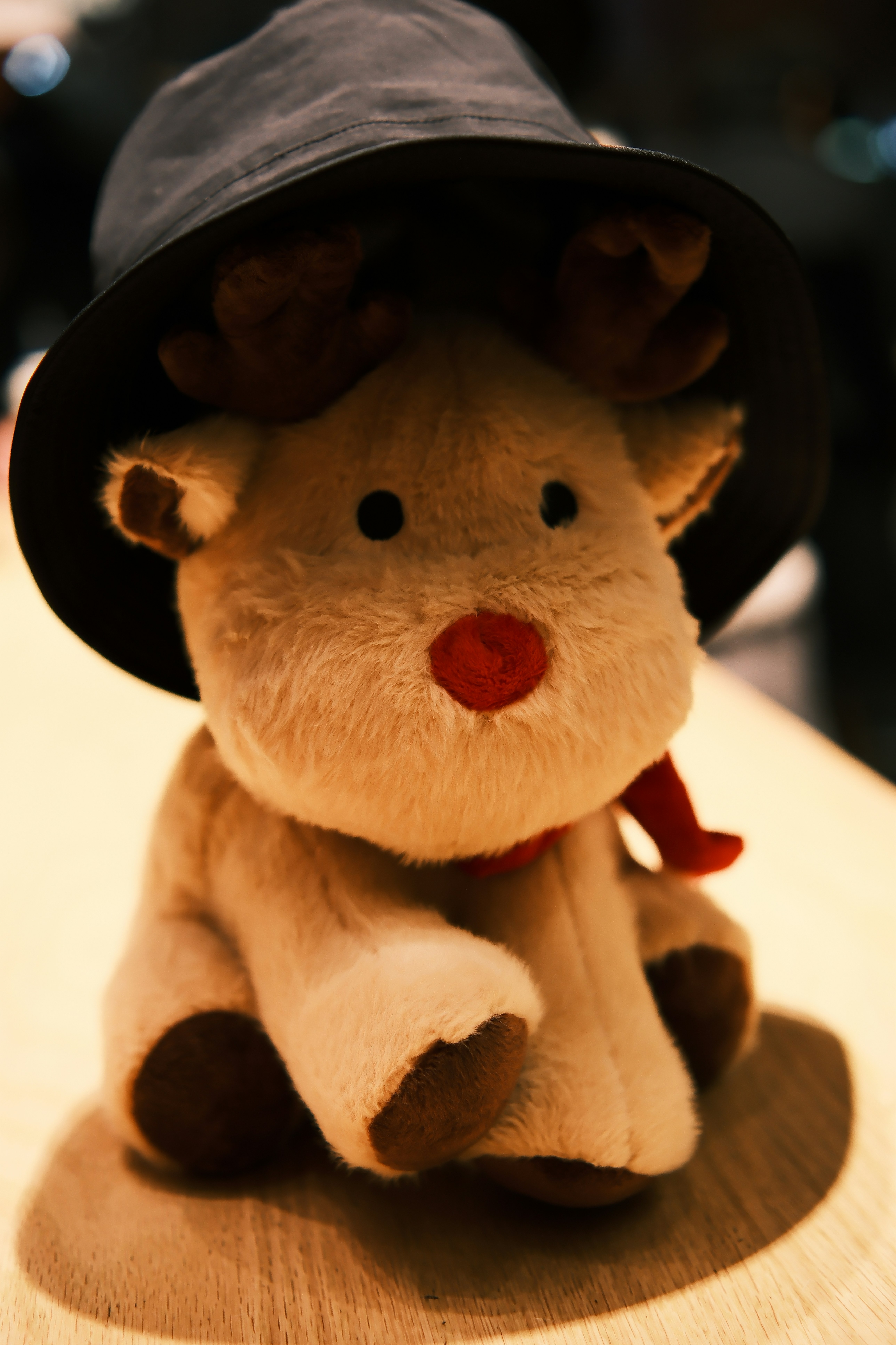 Photo by viendinh1995