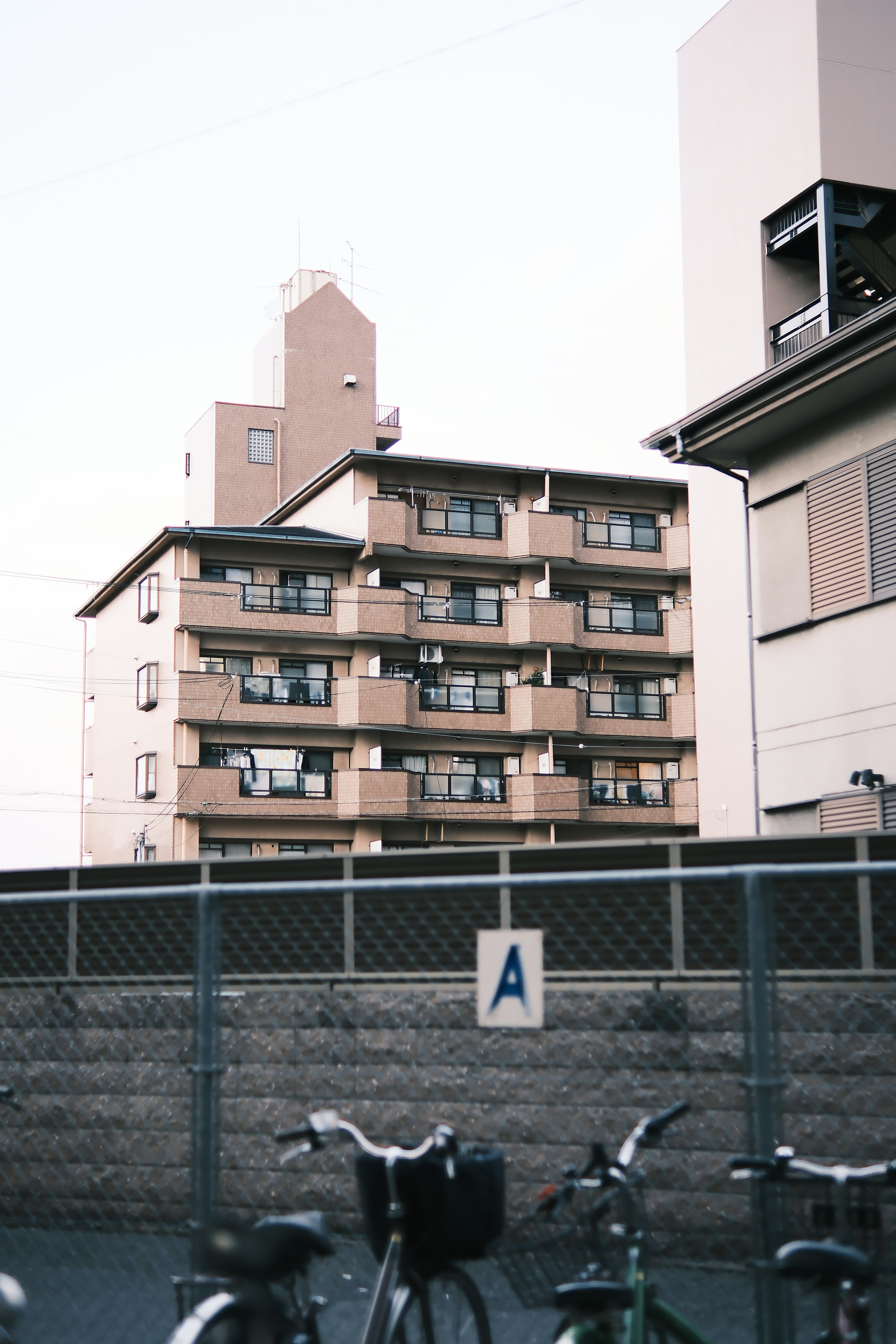 Photo by viendinh1995