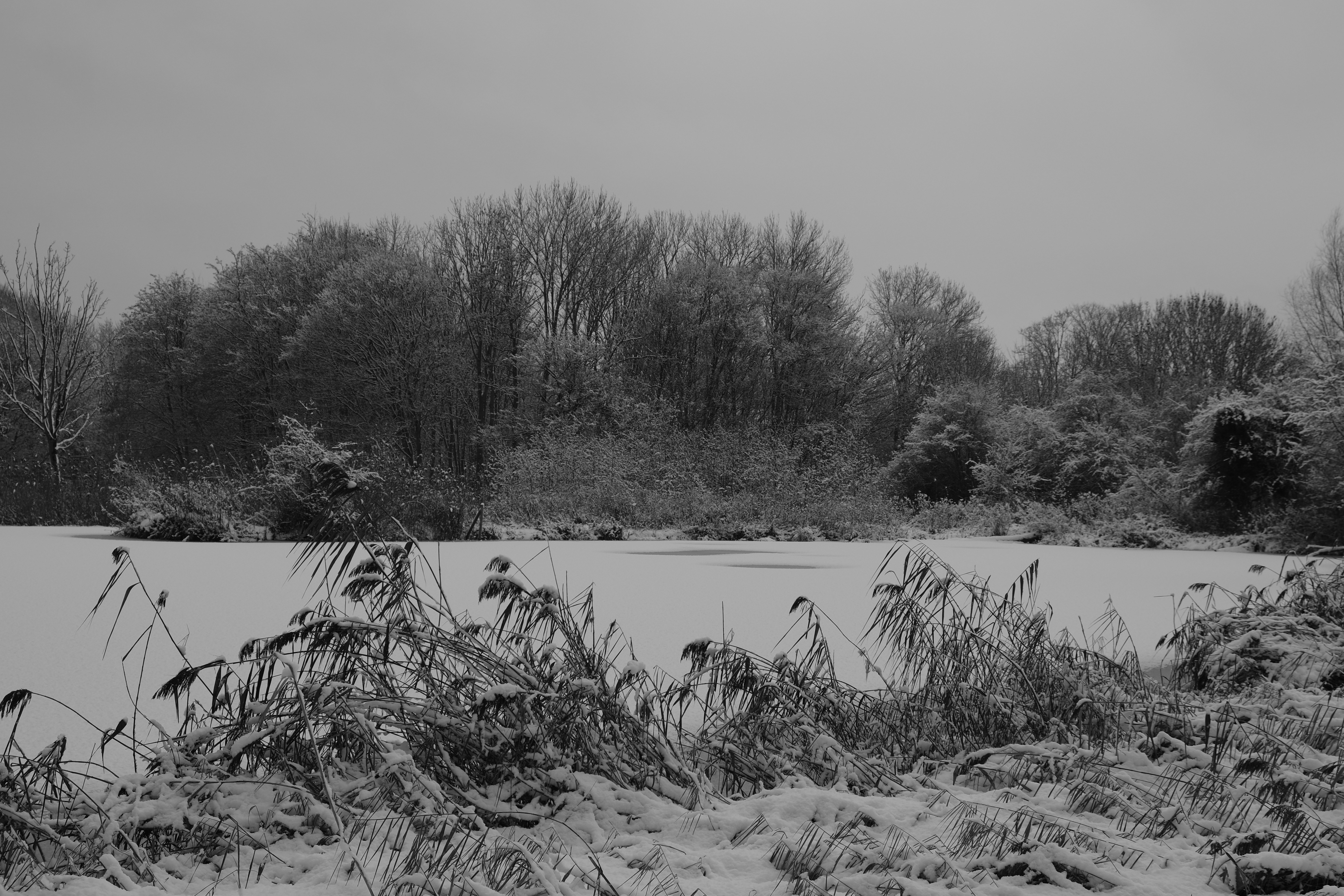 Photo by kyantijhuis