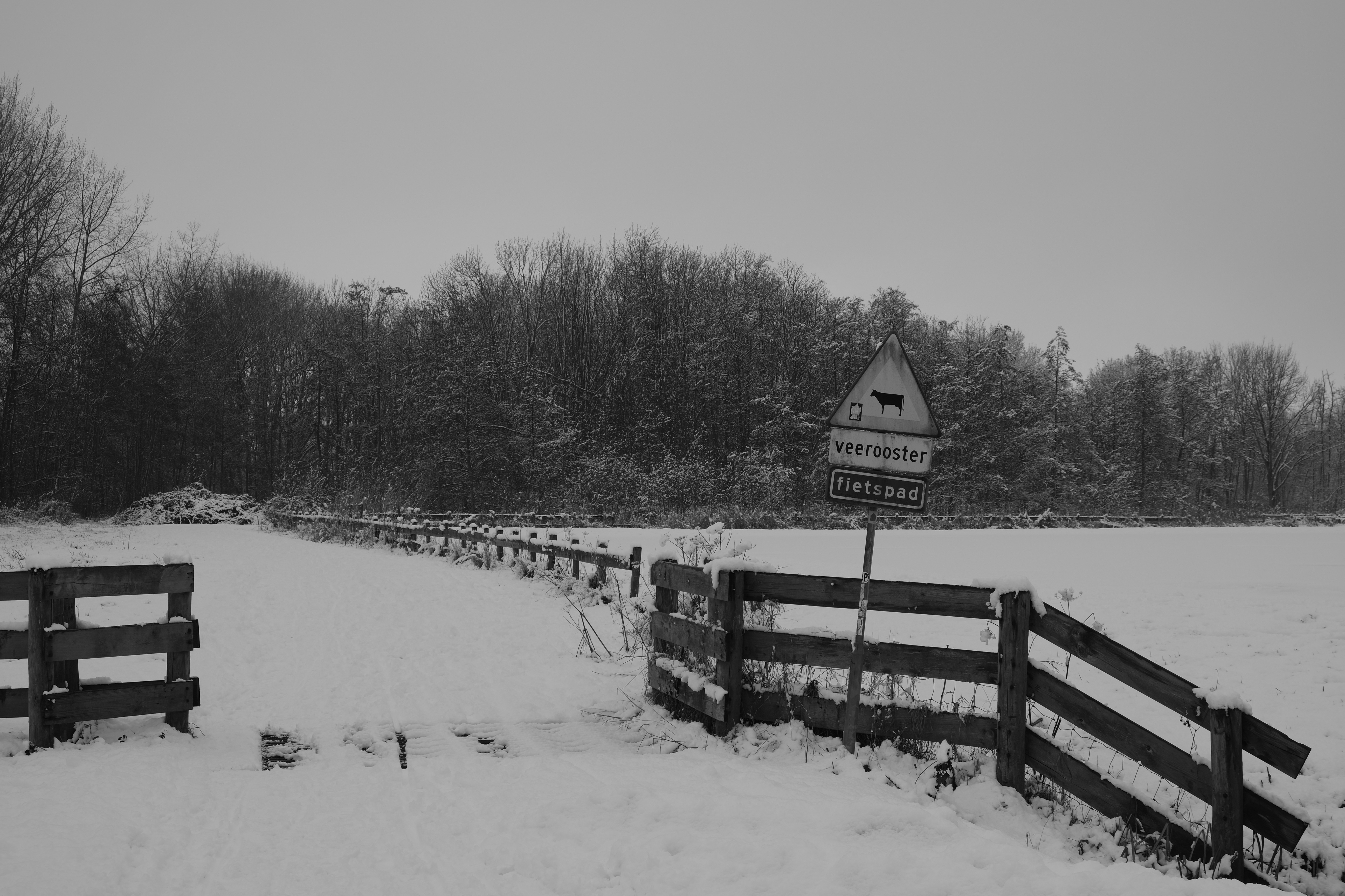 Photo by kyantijhuis