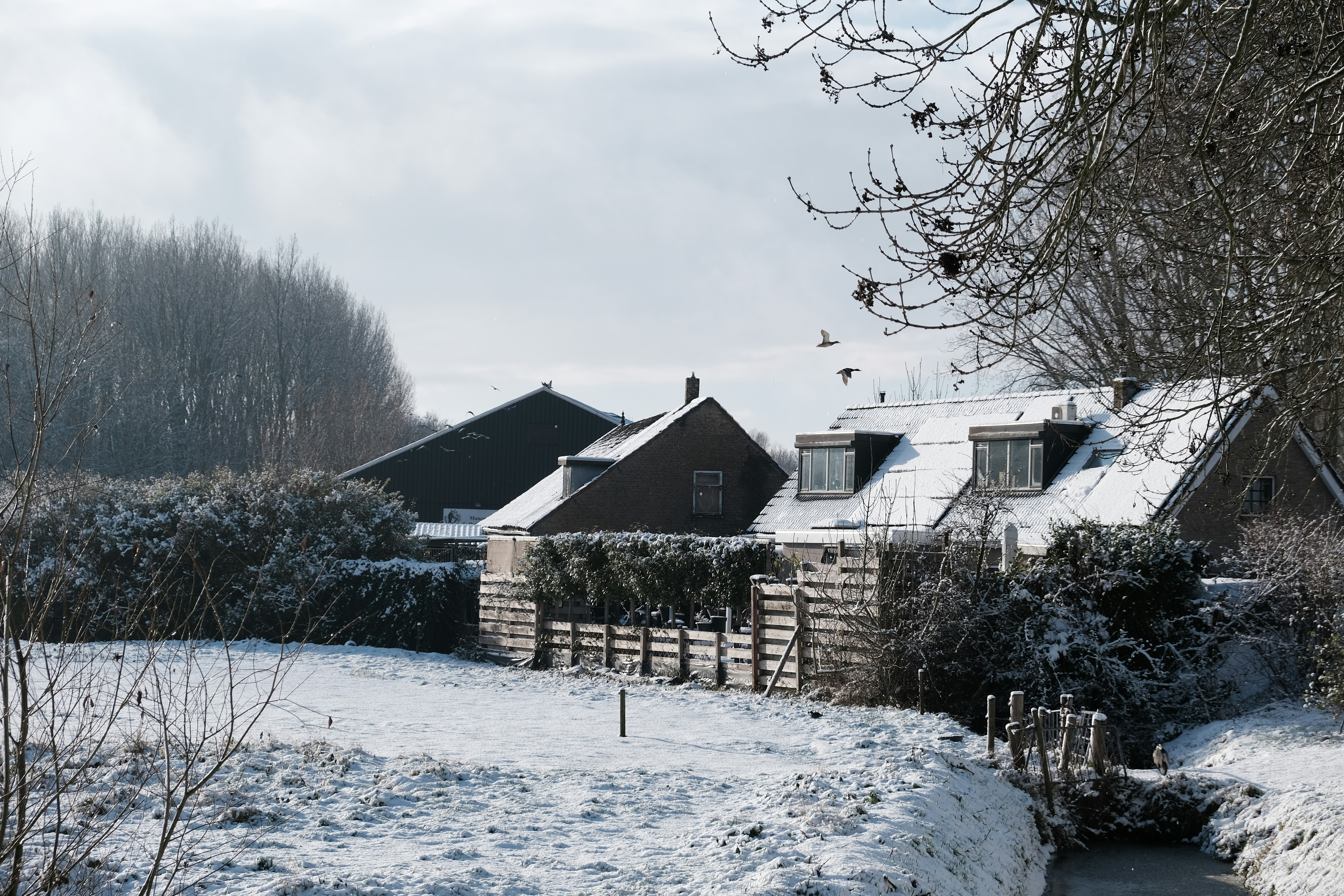 Photo by kyantijhuis