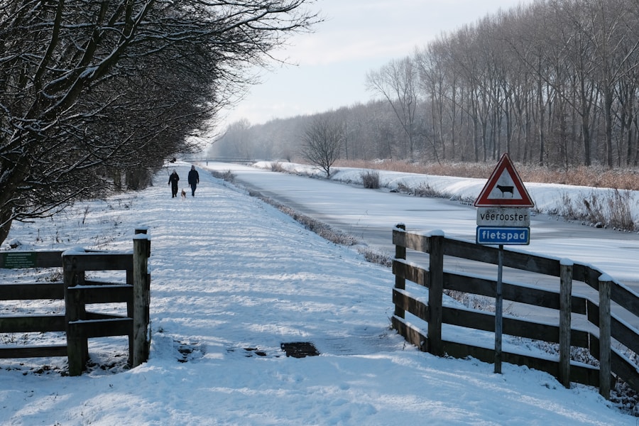 Best Dog-Friendly Canal Walks UK: Flat, Easy and Scenic