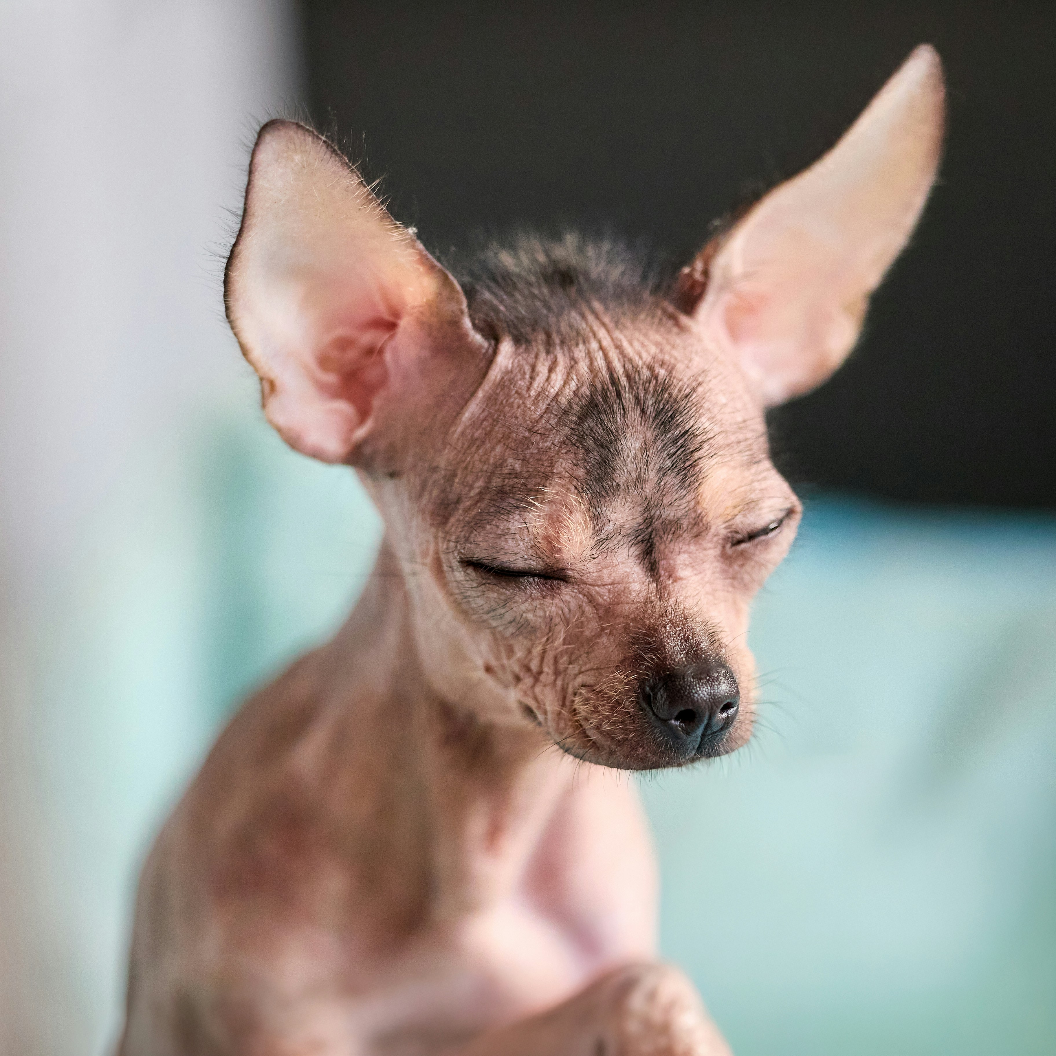 Photo by erwinbosman