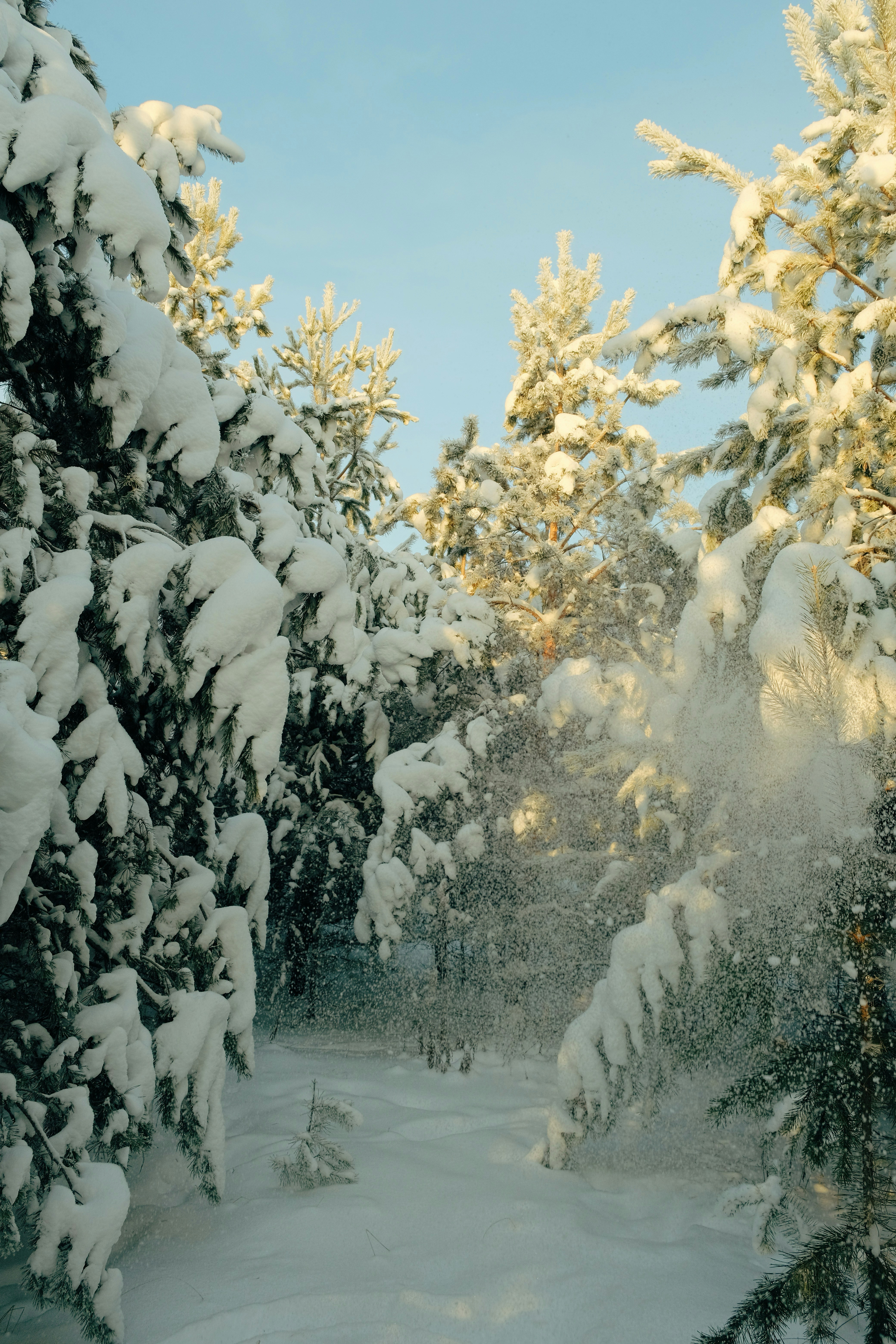 Photo by alex_akimenko