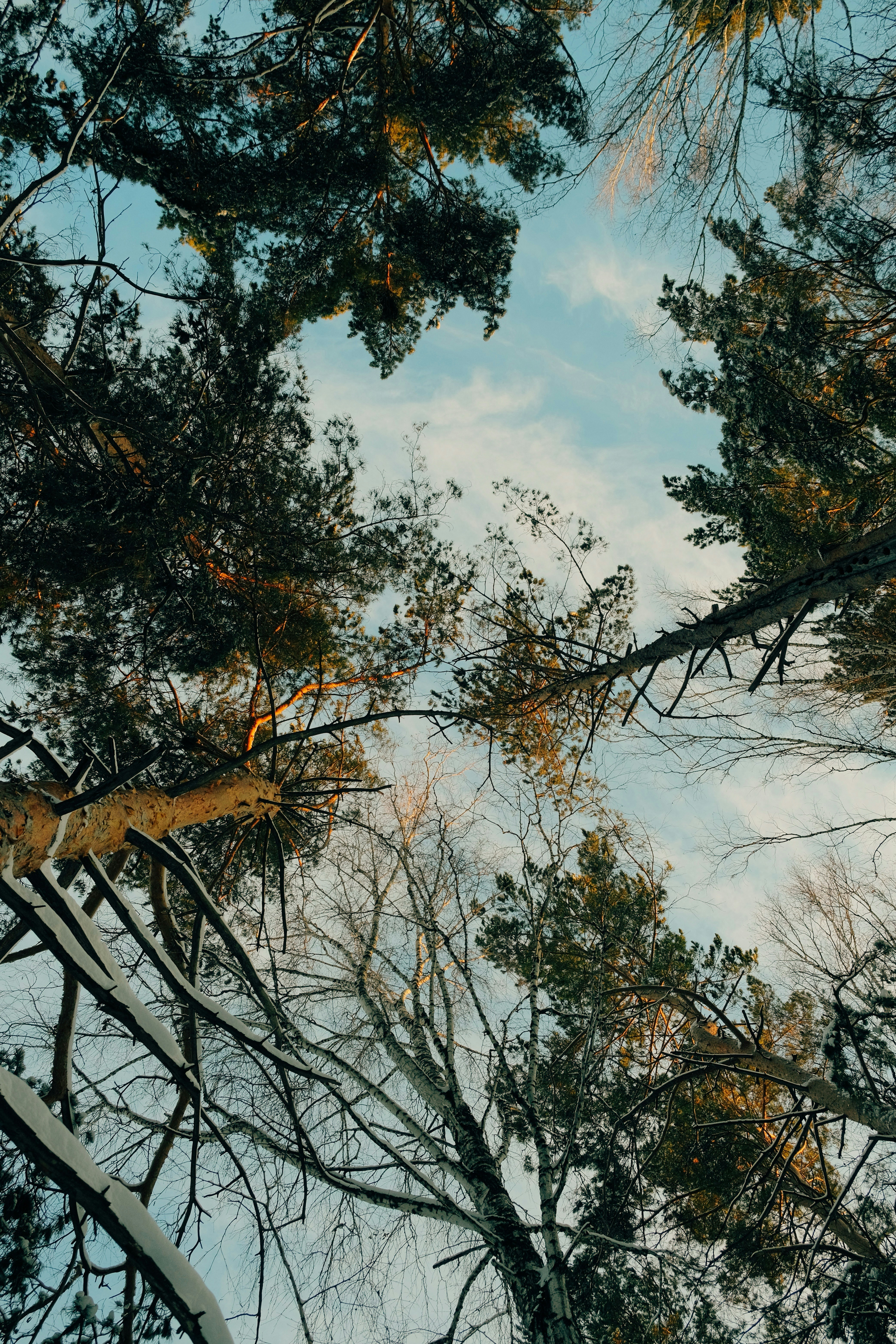 Photo by alex_akimenko