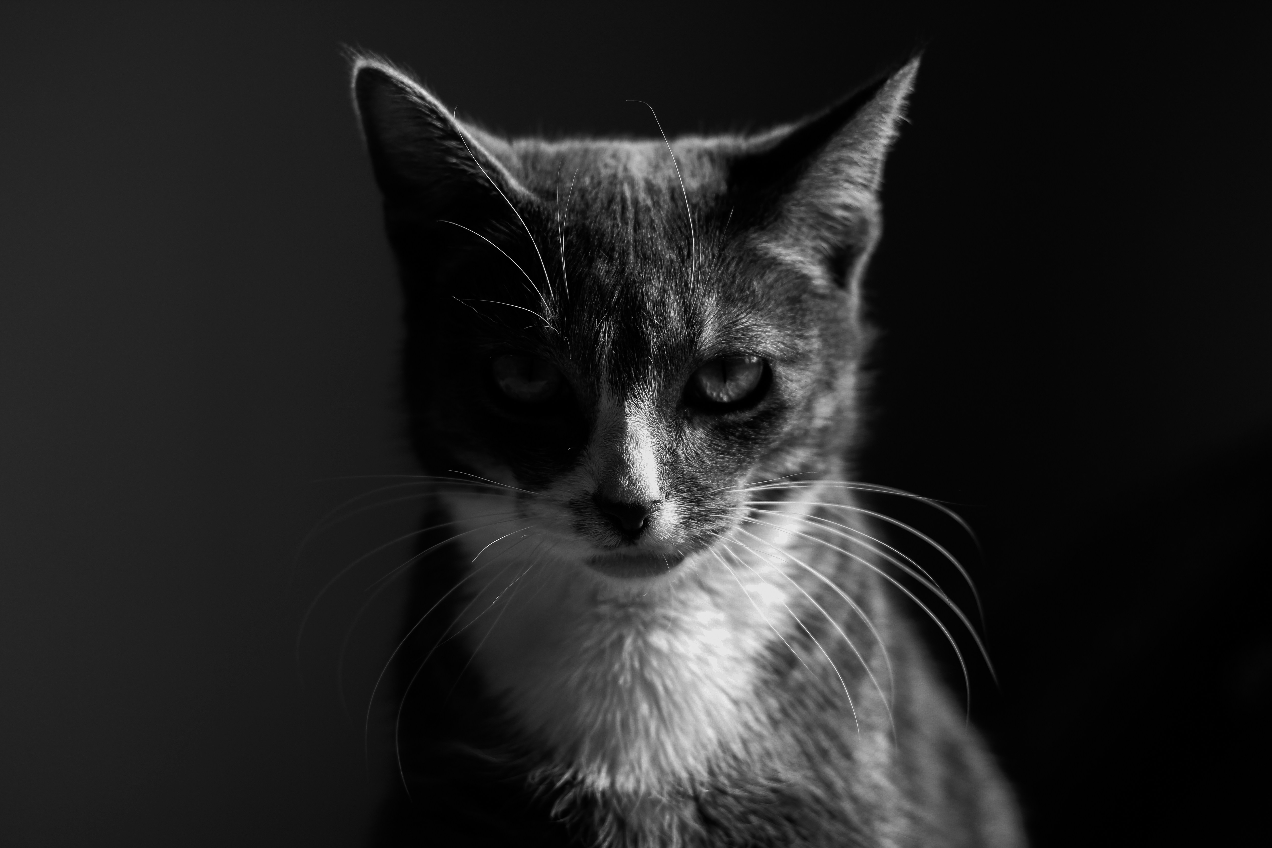 Photo by reinisbruzitis