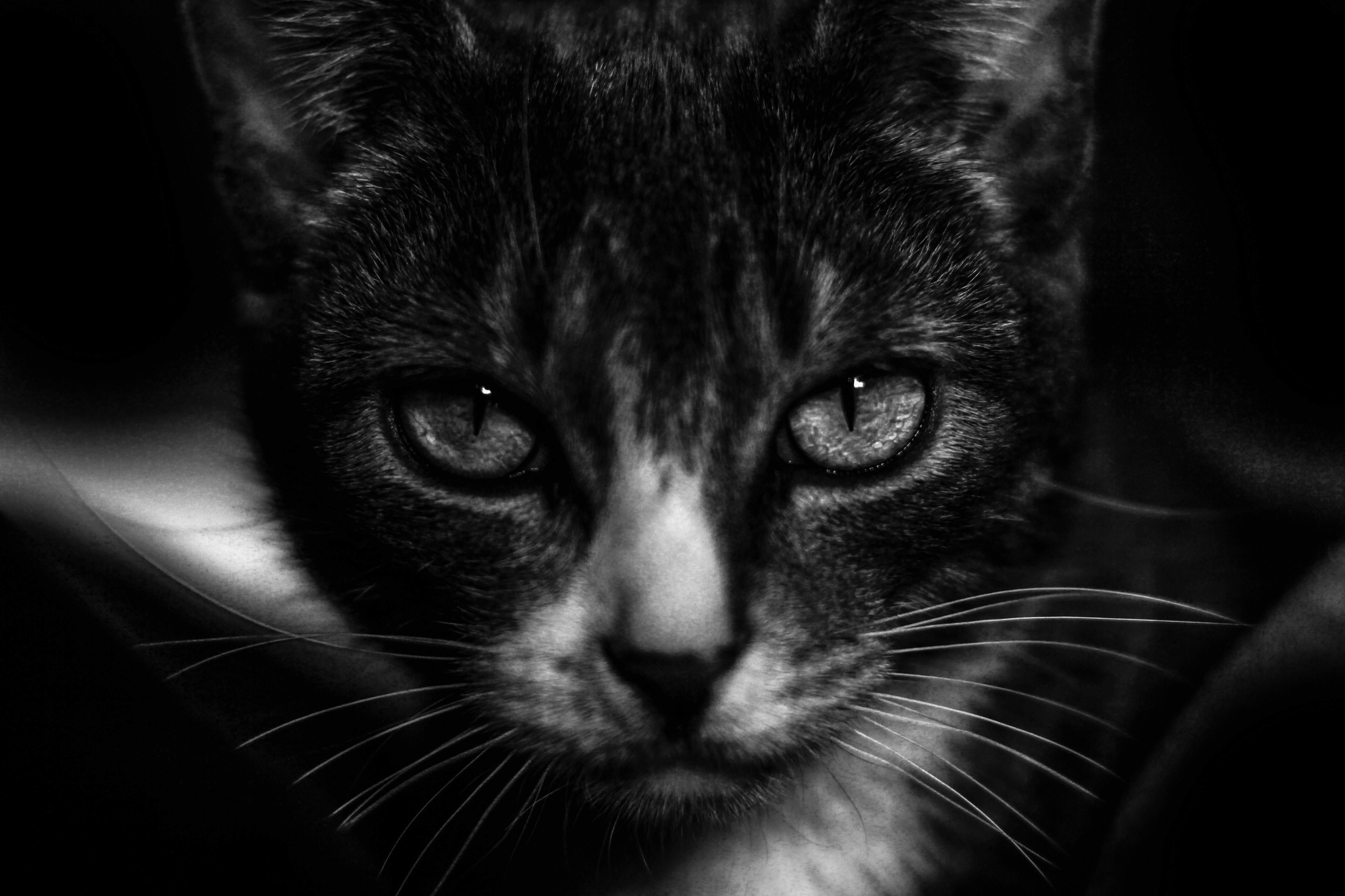 Photo by reinisbruzitis