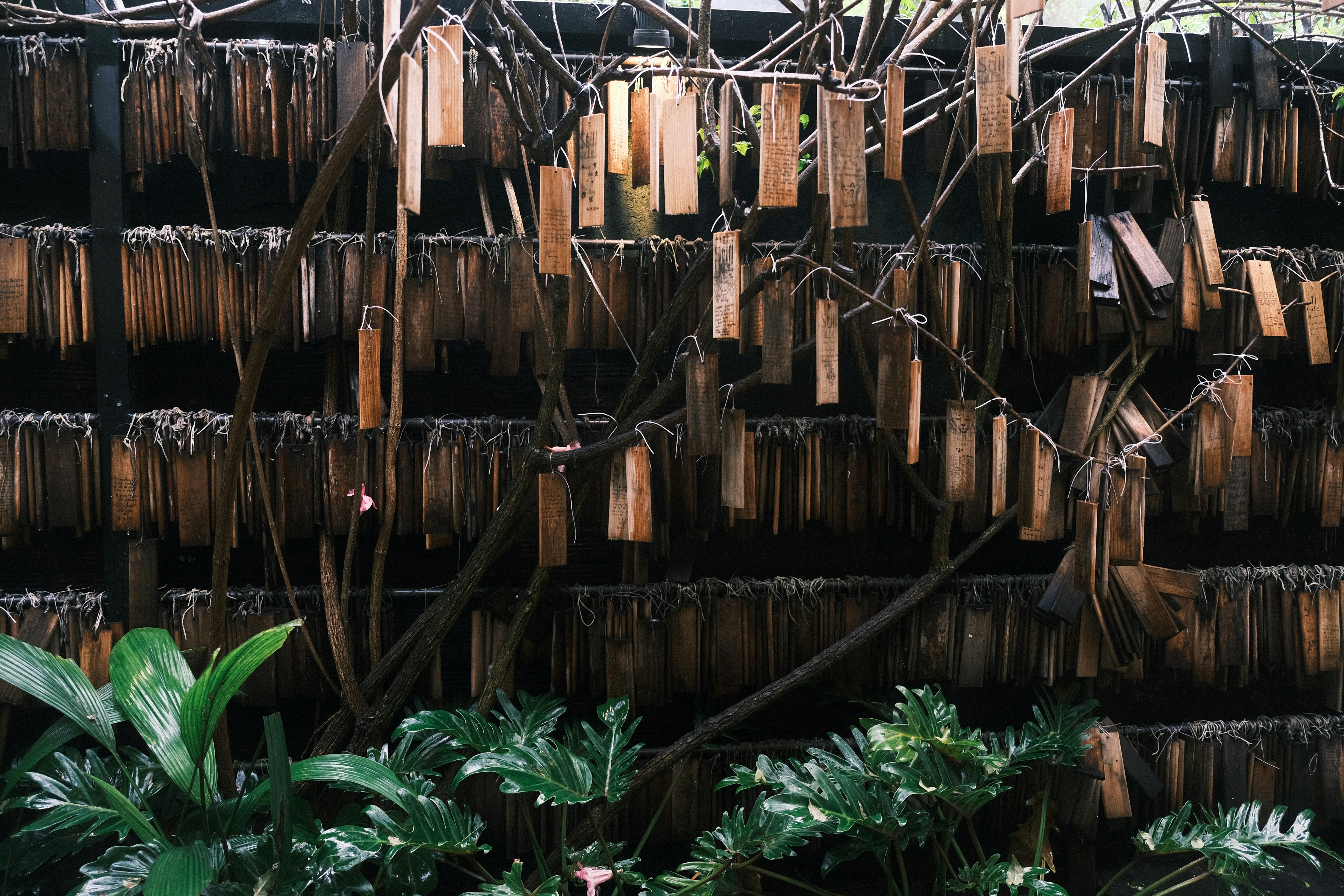 Photo by dvhoang2106