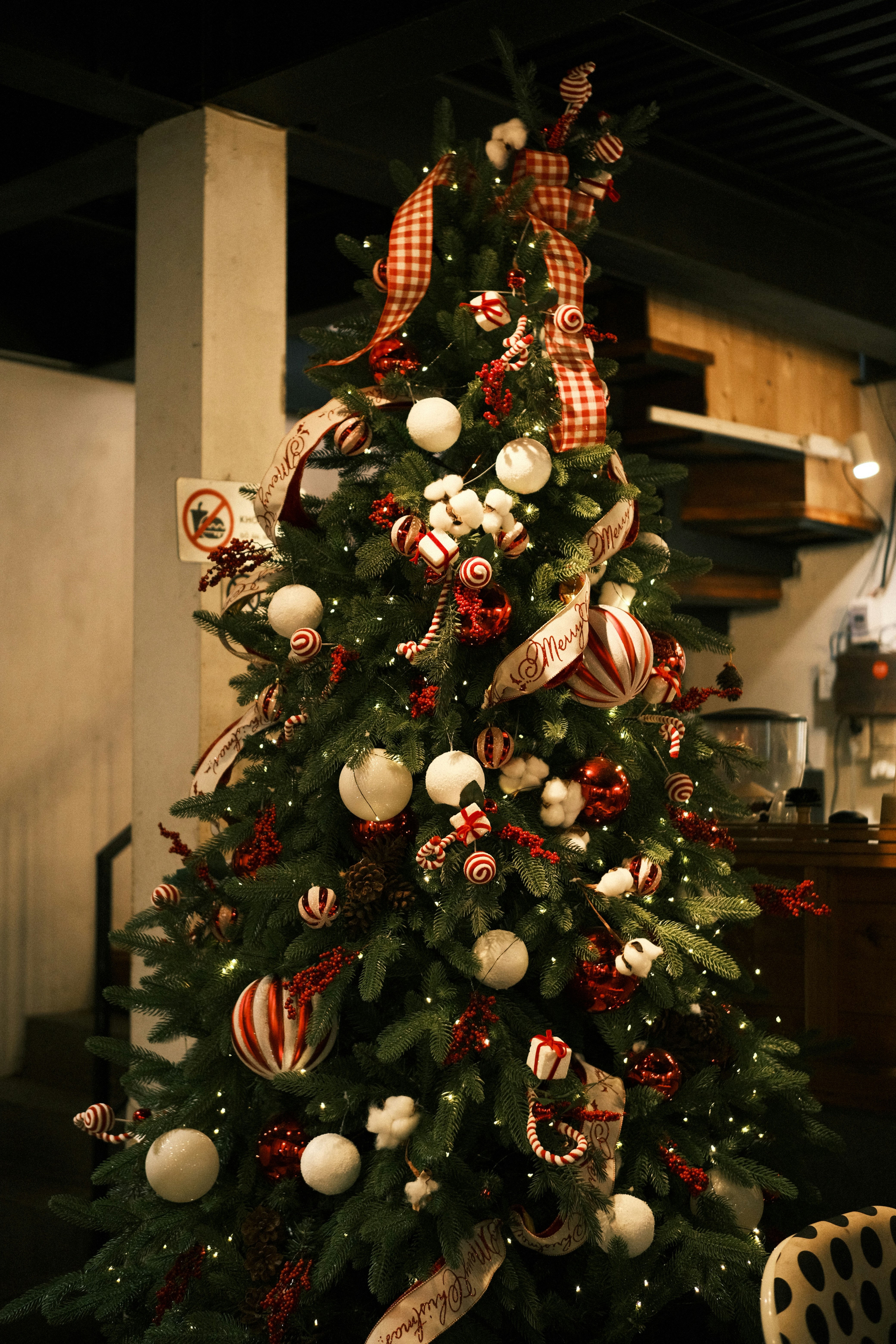 Photo by dvhoang2106