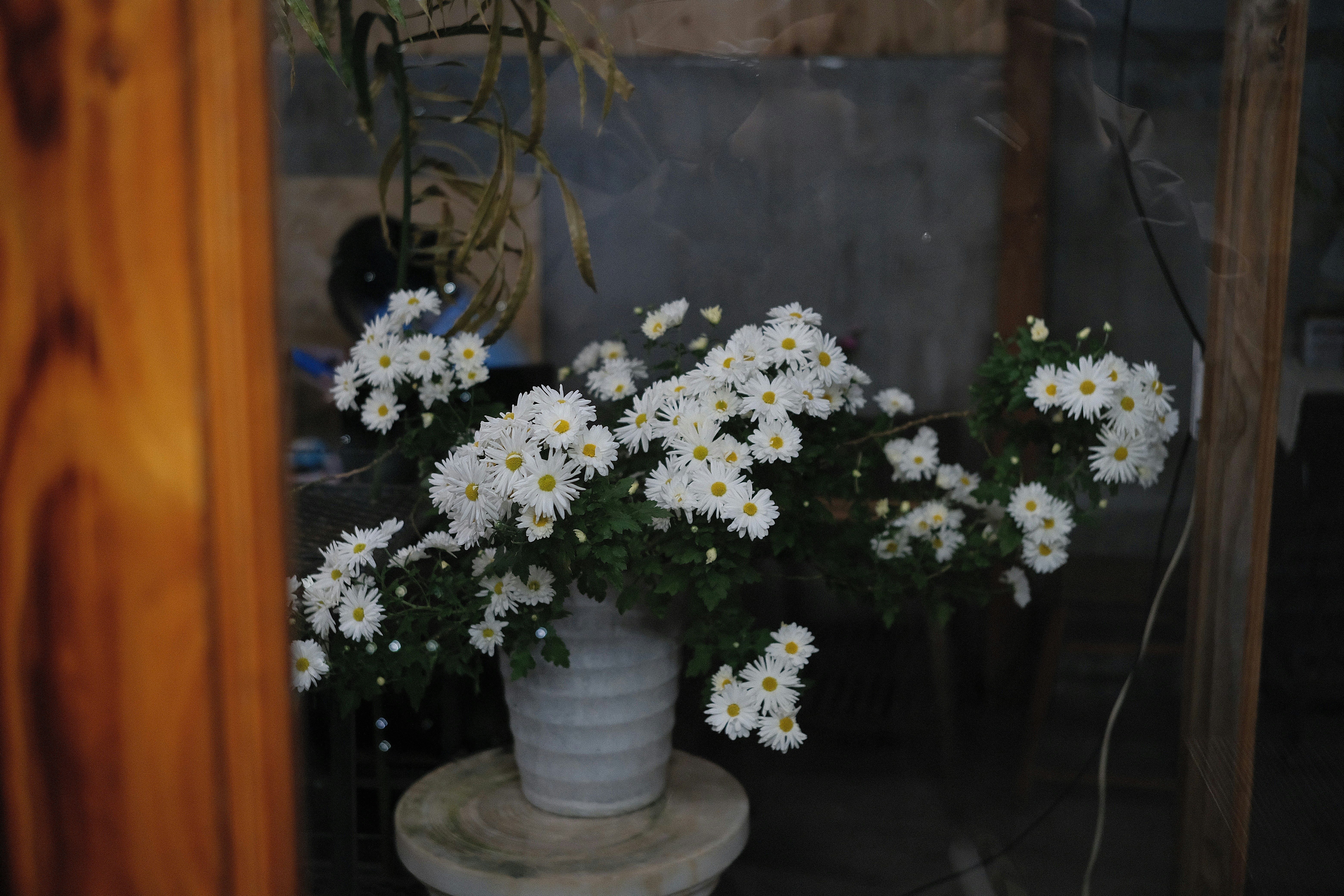 Photo by dvhoang2106