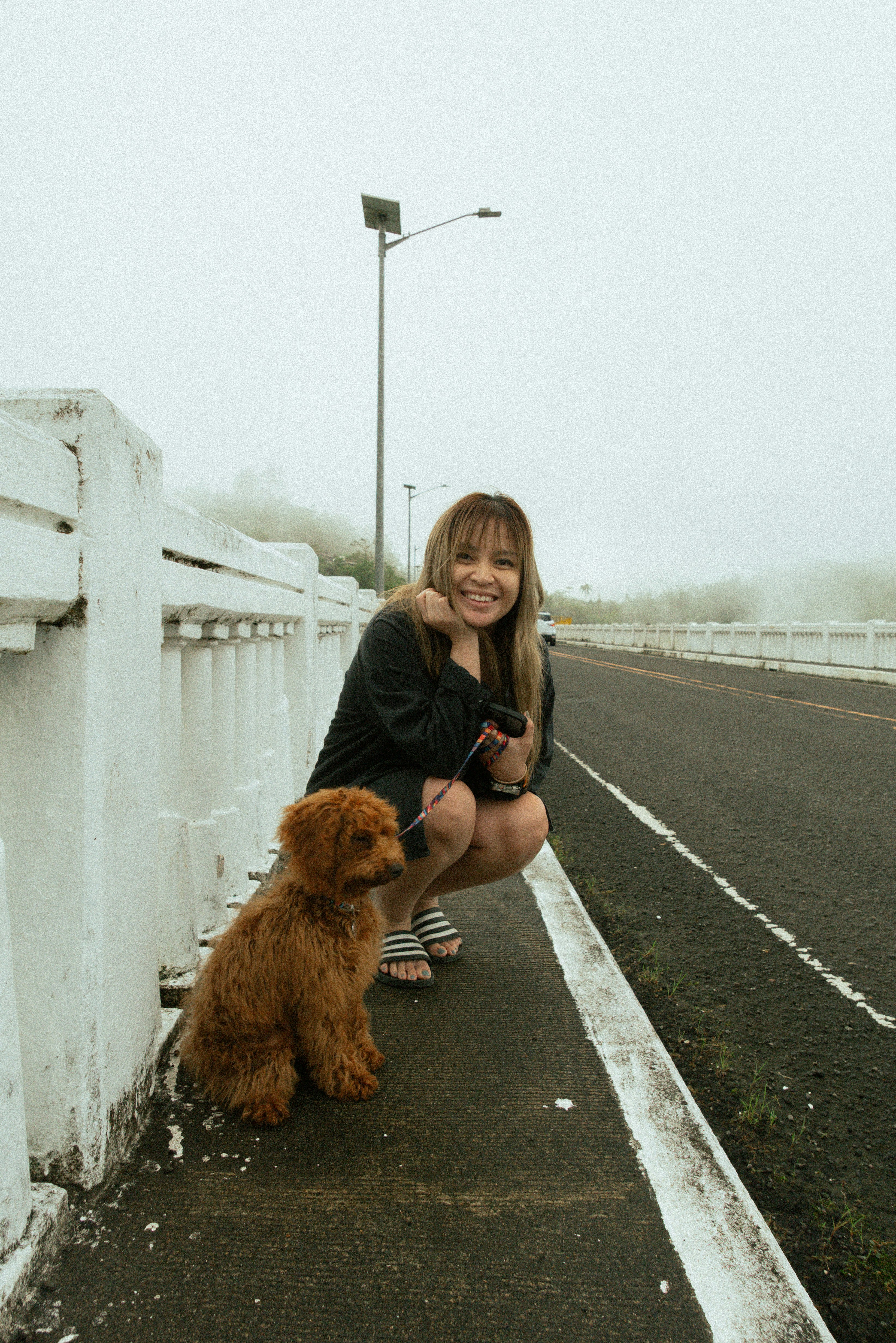 Woman and poodle on a foggy road