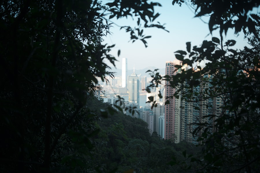 長洲包山上掛滿蒸包