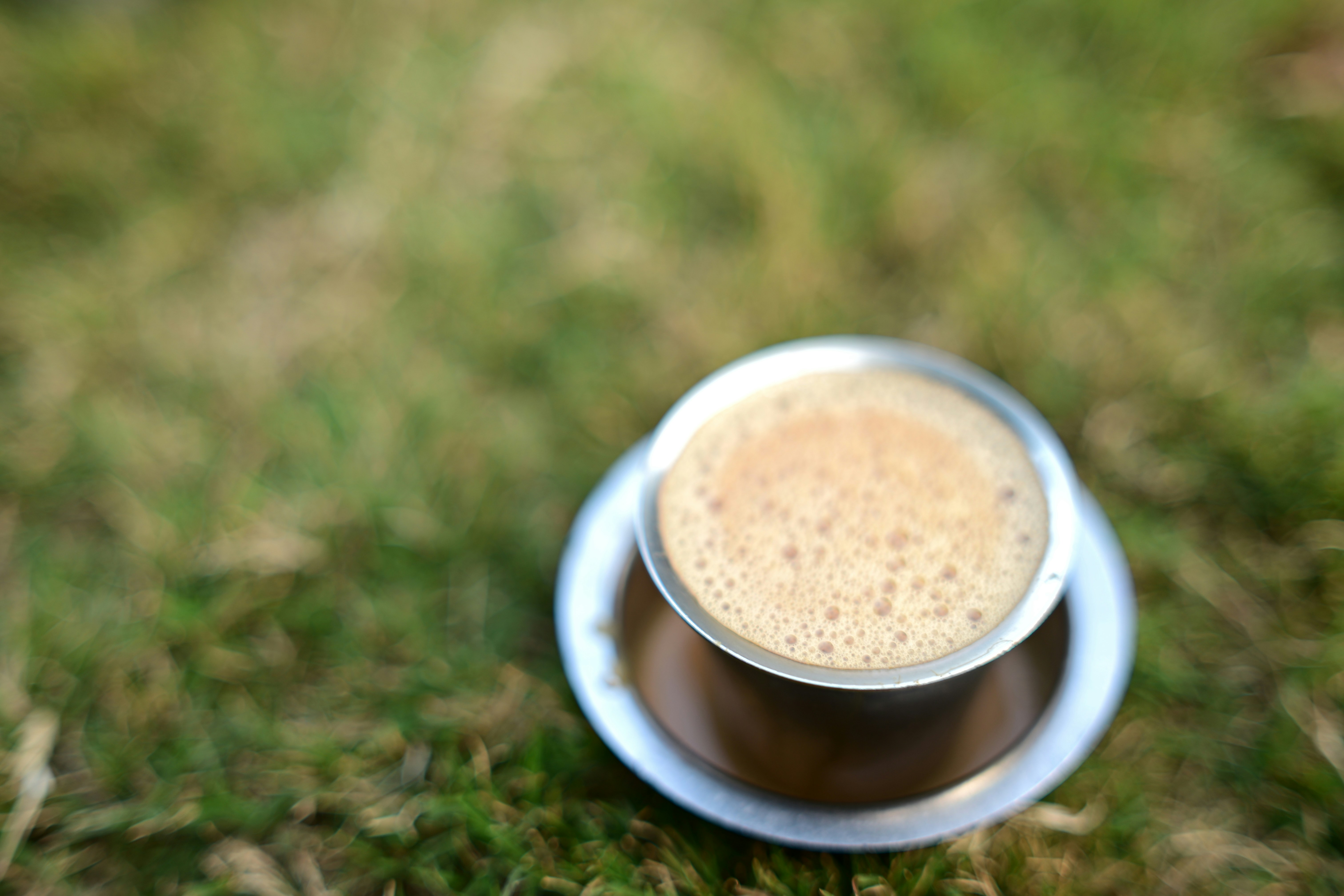 A cup of frothy coffee on a grassy surface.
