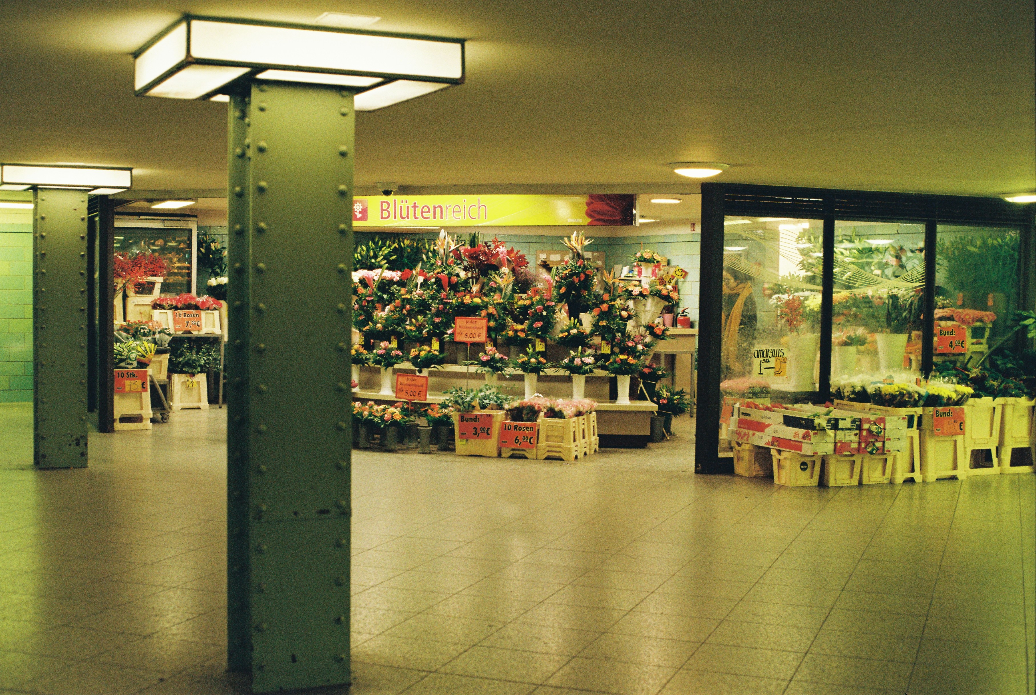 A flower shop with many plants and flowers