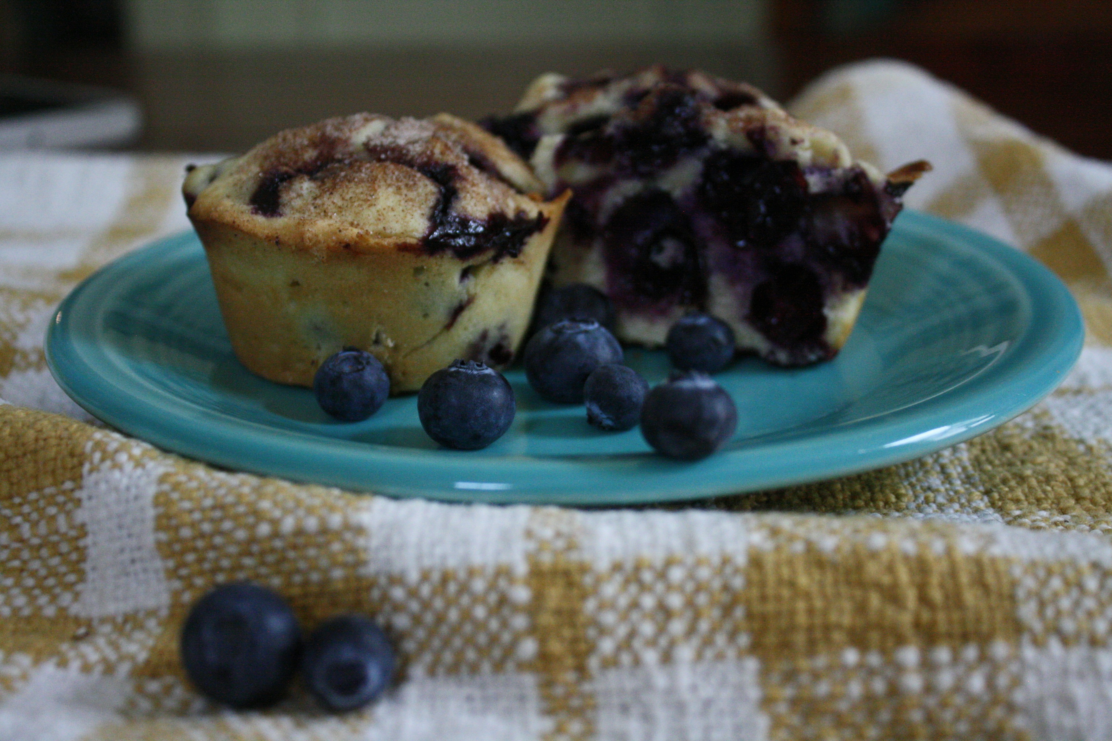 Two blueberry muffins with fresh blueberries on a plate.