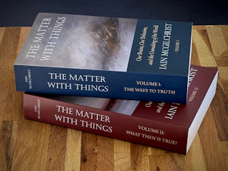 Two volumes of "the matter with things" books stacked.