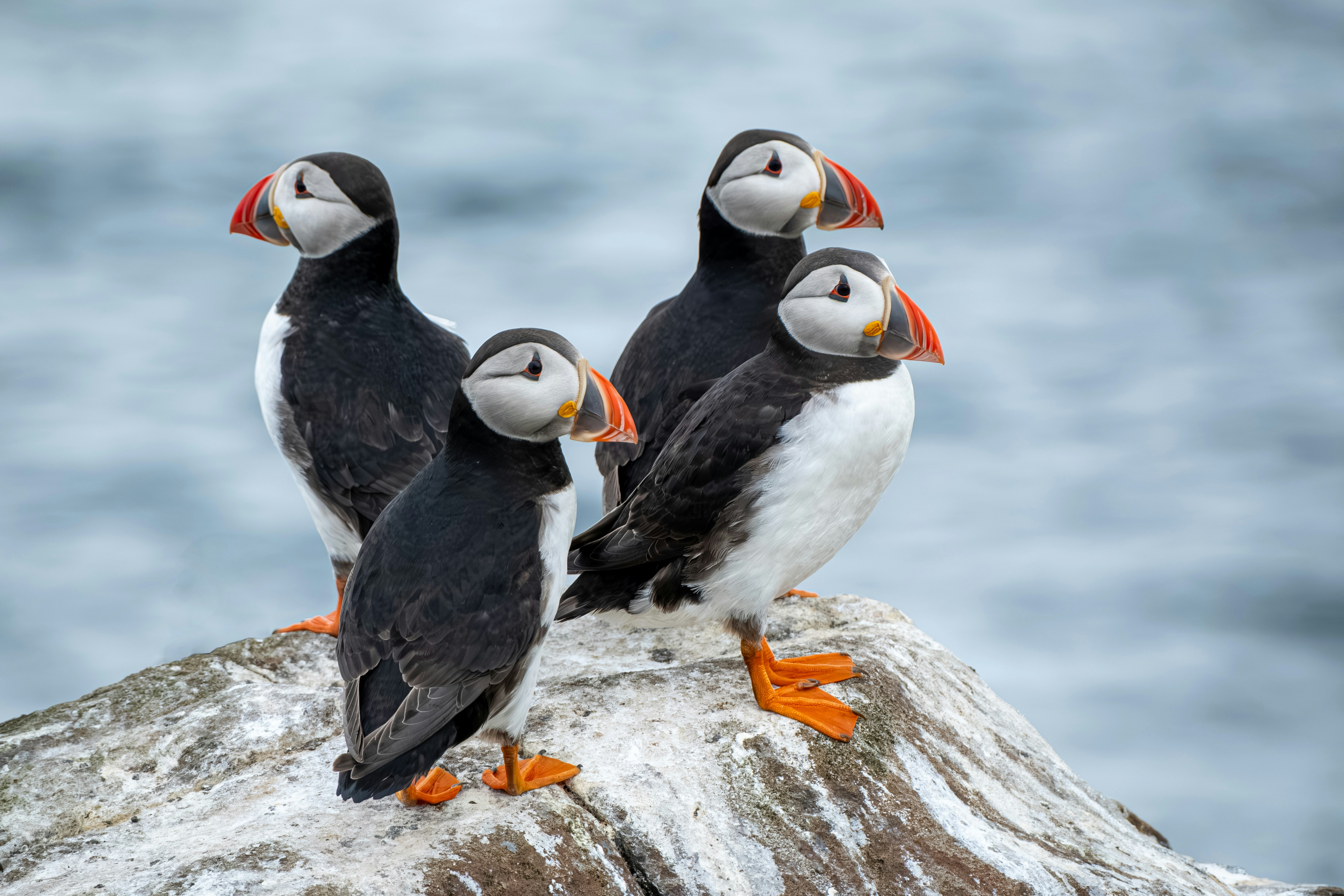 Photo by philrobson100