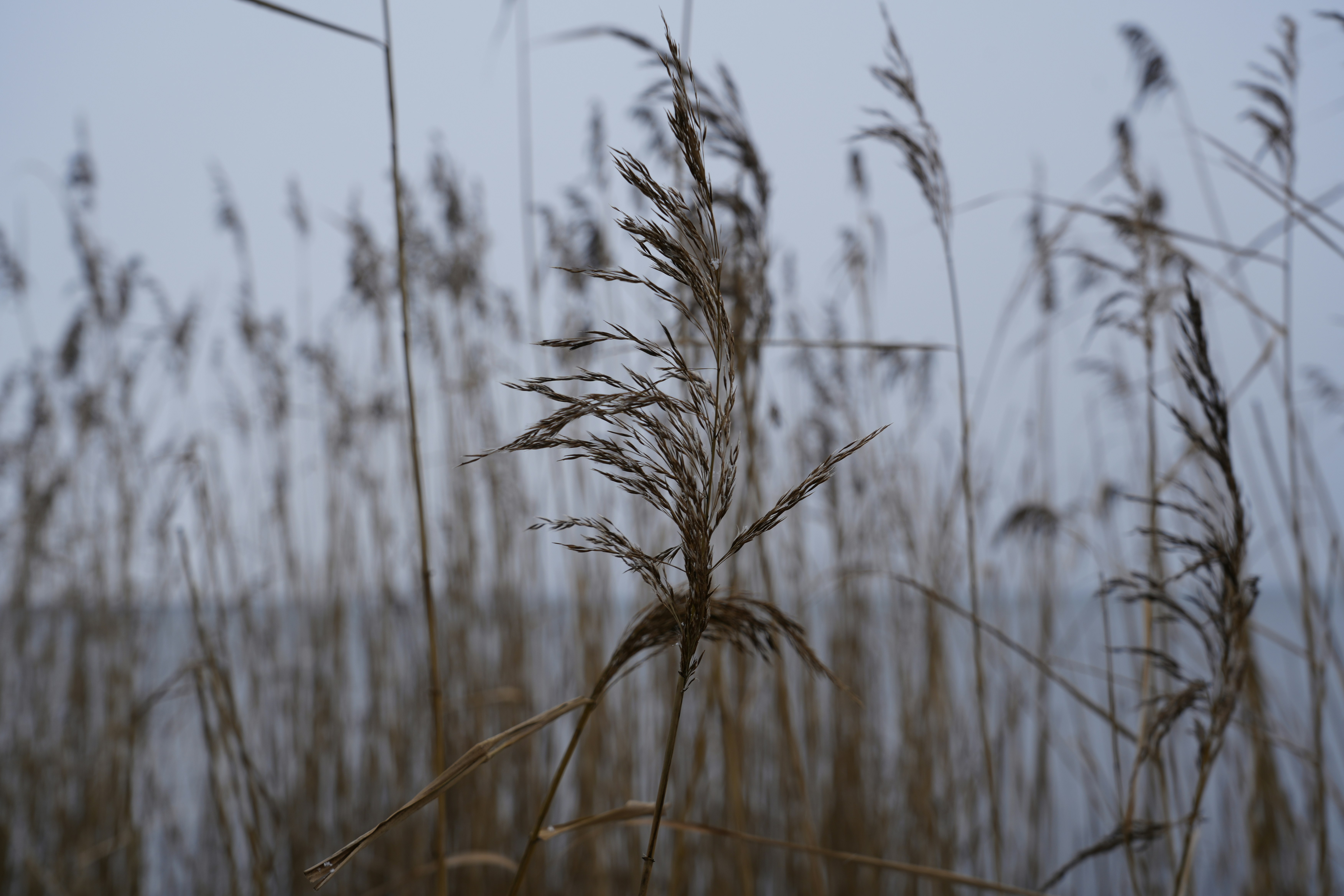 Photo by antjewinkler