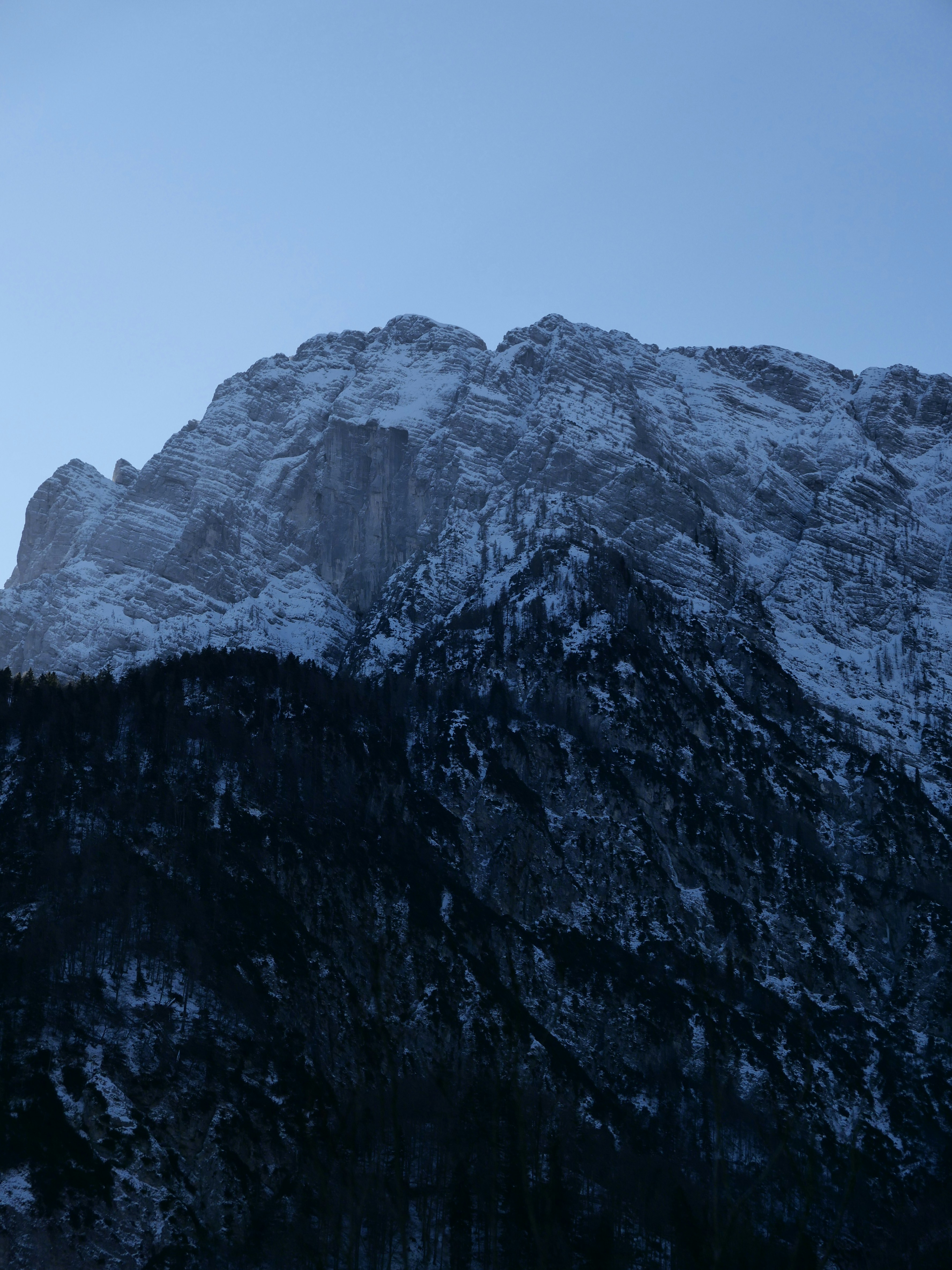 Photo by danielesimon