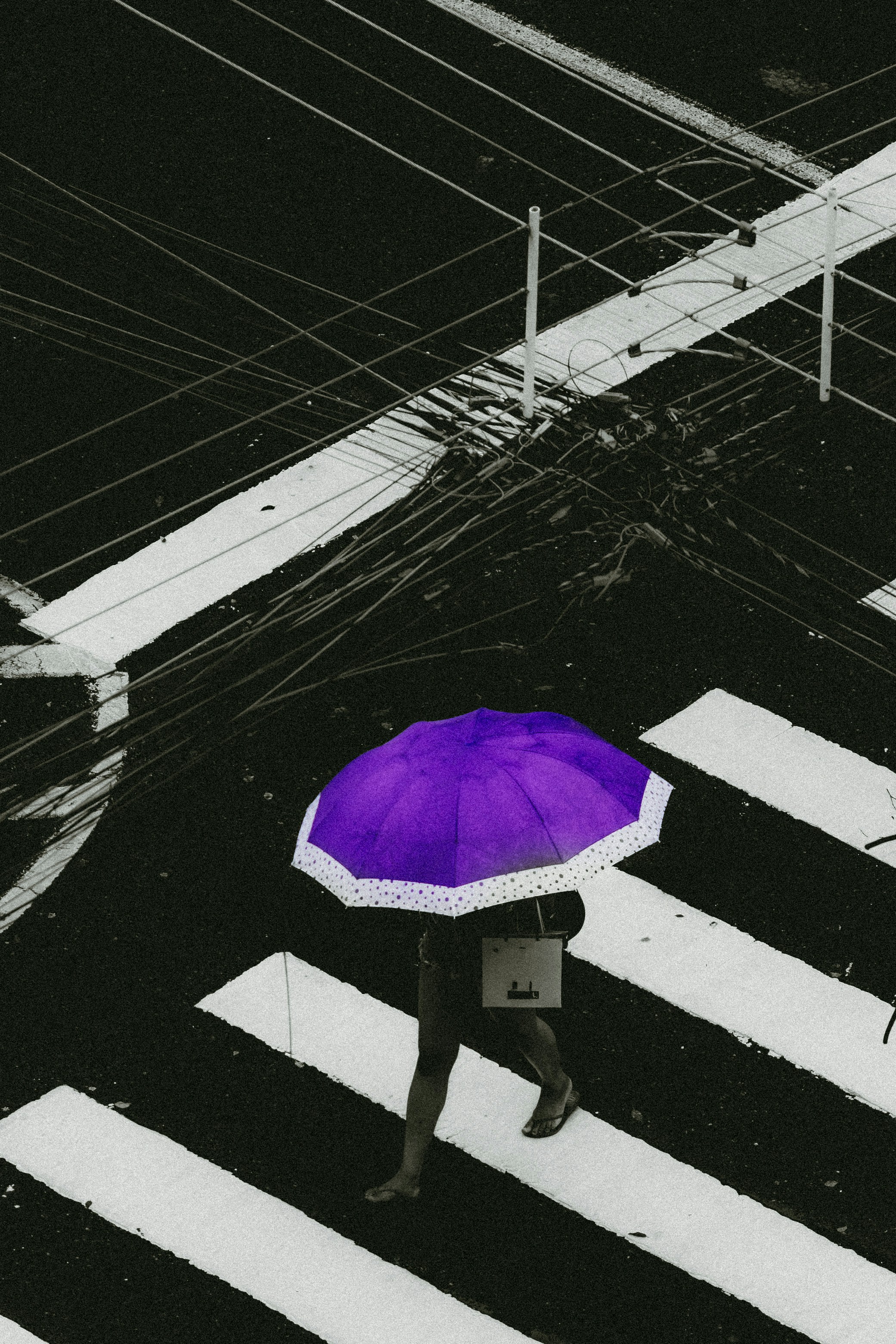 Person with purple umbrella crosses a wet street.
